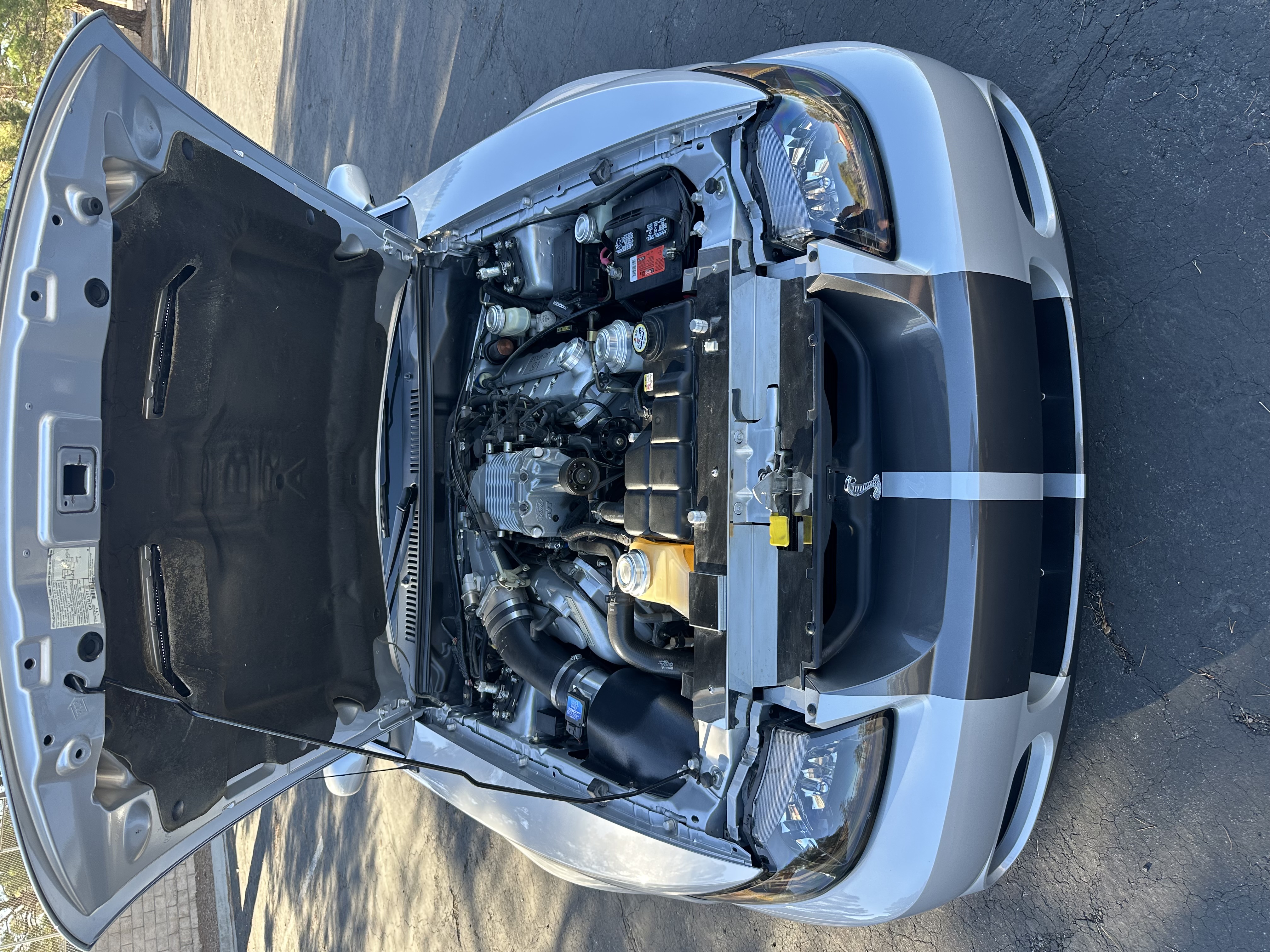 Used 2004 Ford Mustang Cobra RWD image 12