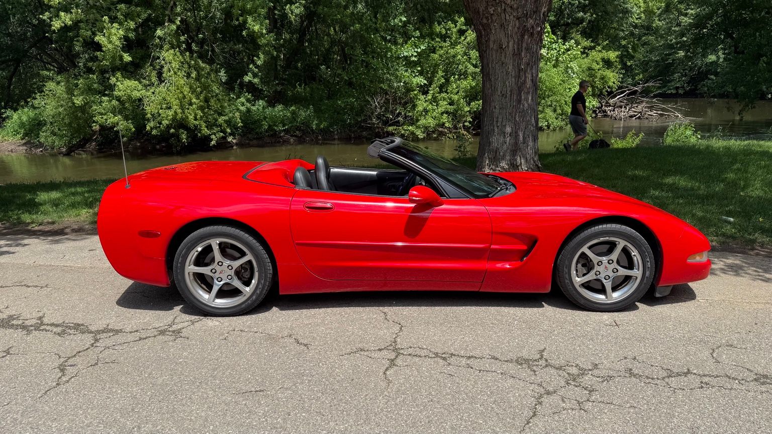 Used 2000 Chevrolet Corvette Convertible w/ Memory Pkg RWD image 1