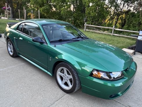 Used 1999 Ford Mustang Cobra RWD image 1