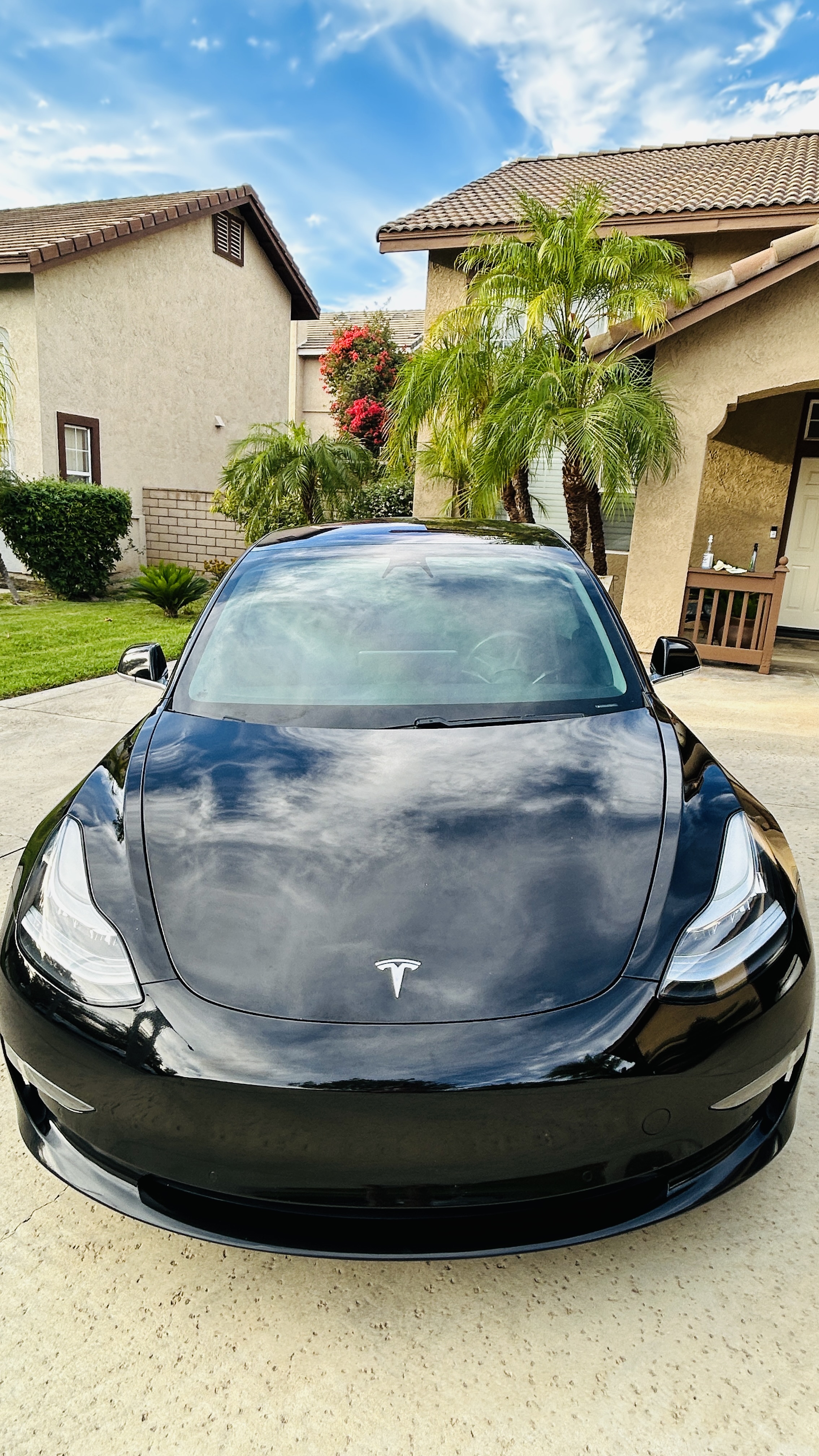 Used 2019 Tesla Model 3 RWD image 9