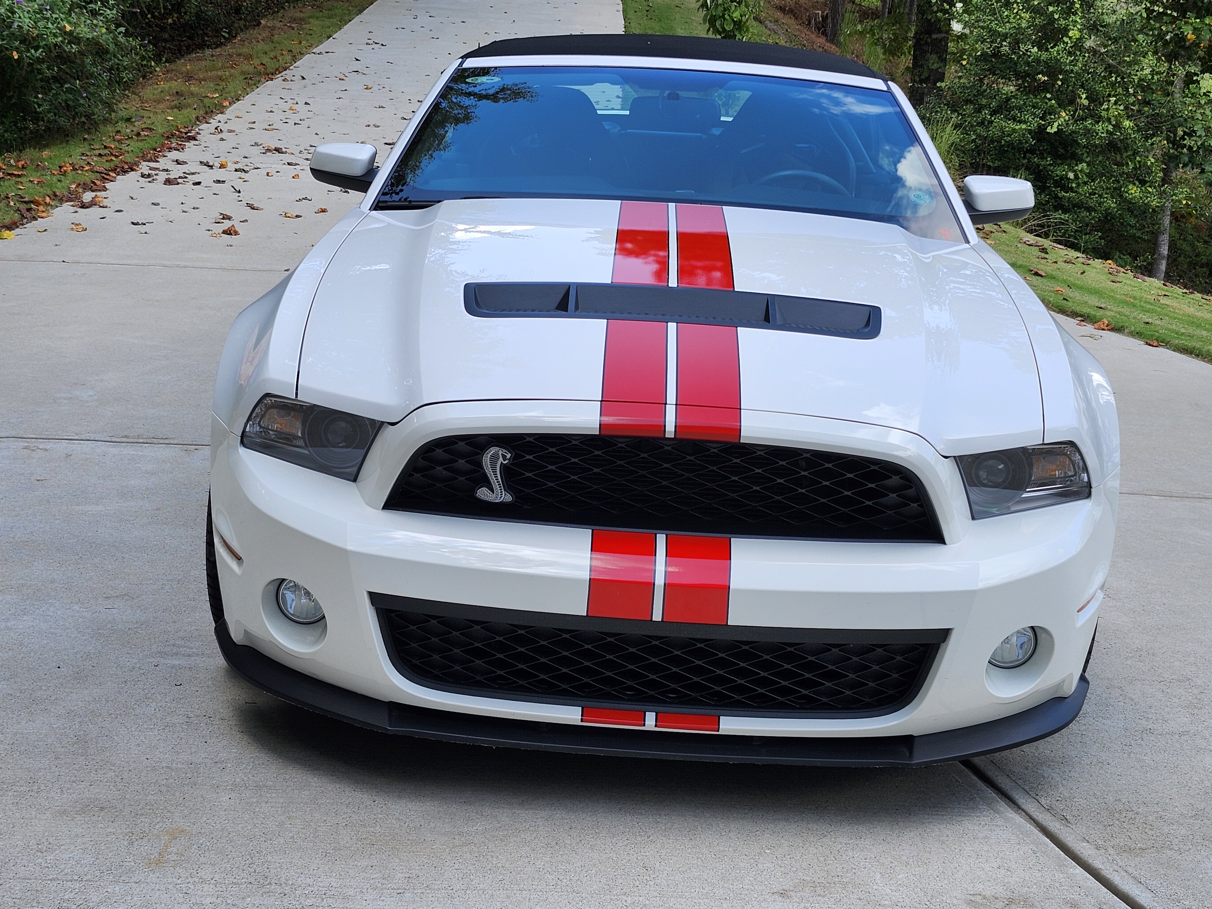 Used 2012 Ford Mustang Shelby GT500 w/ SVT Performance Pkg RWD image 5