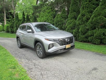 Used 2023 Hyundai Tucson Blue w/ Cargo Package