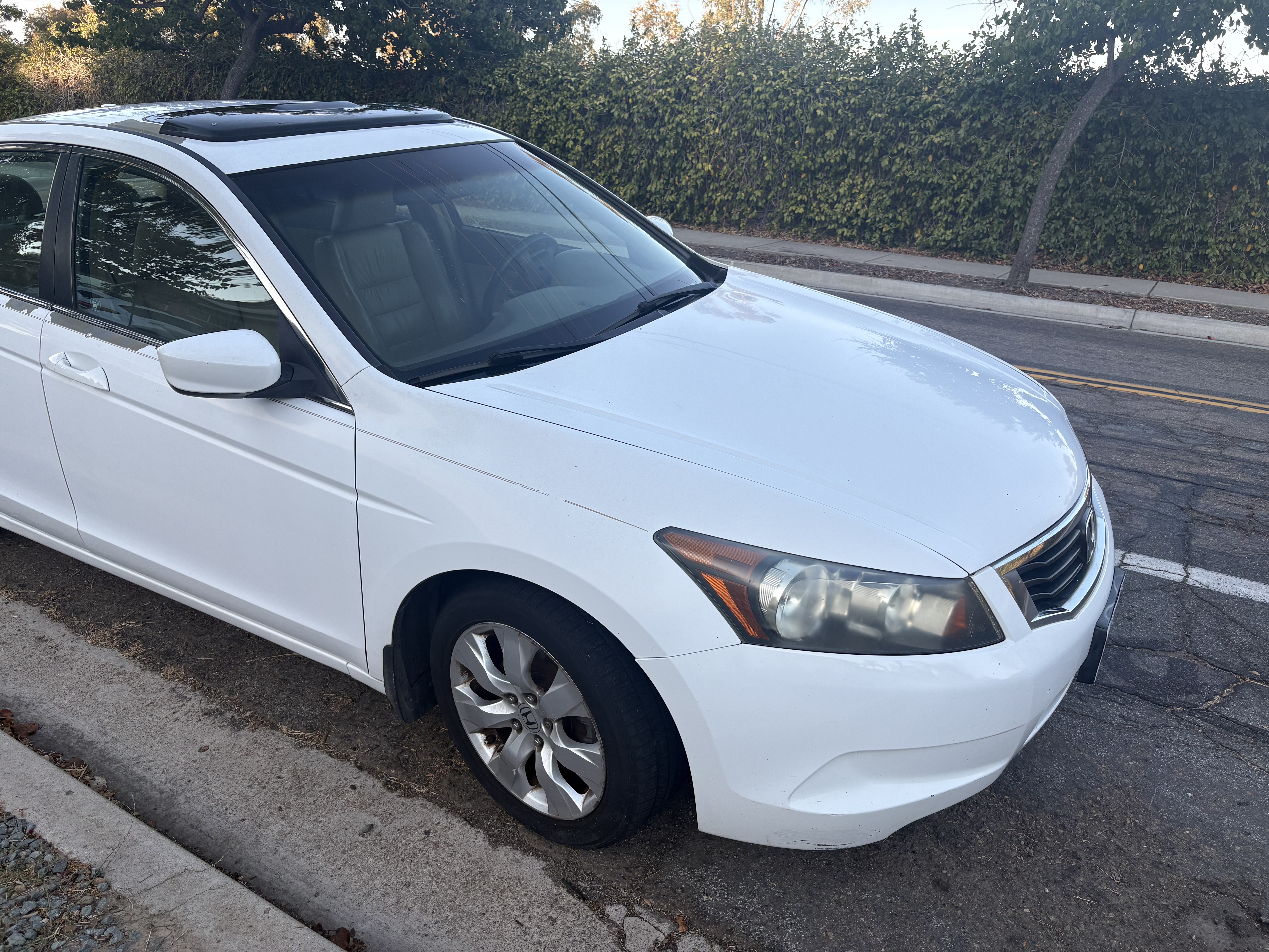 Used 2008 Honda Accord EX-L image 5