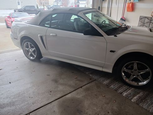 Used 2000 Ford Mustang GT image 14