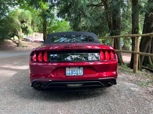 Used 2019 Ford Mustang Premium w/ Ecoboost Performance Package RWD image 14