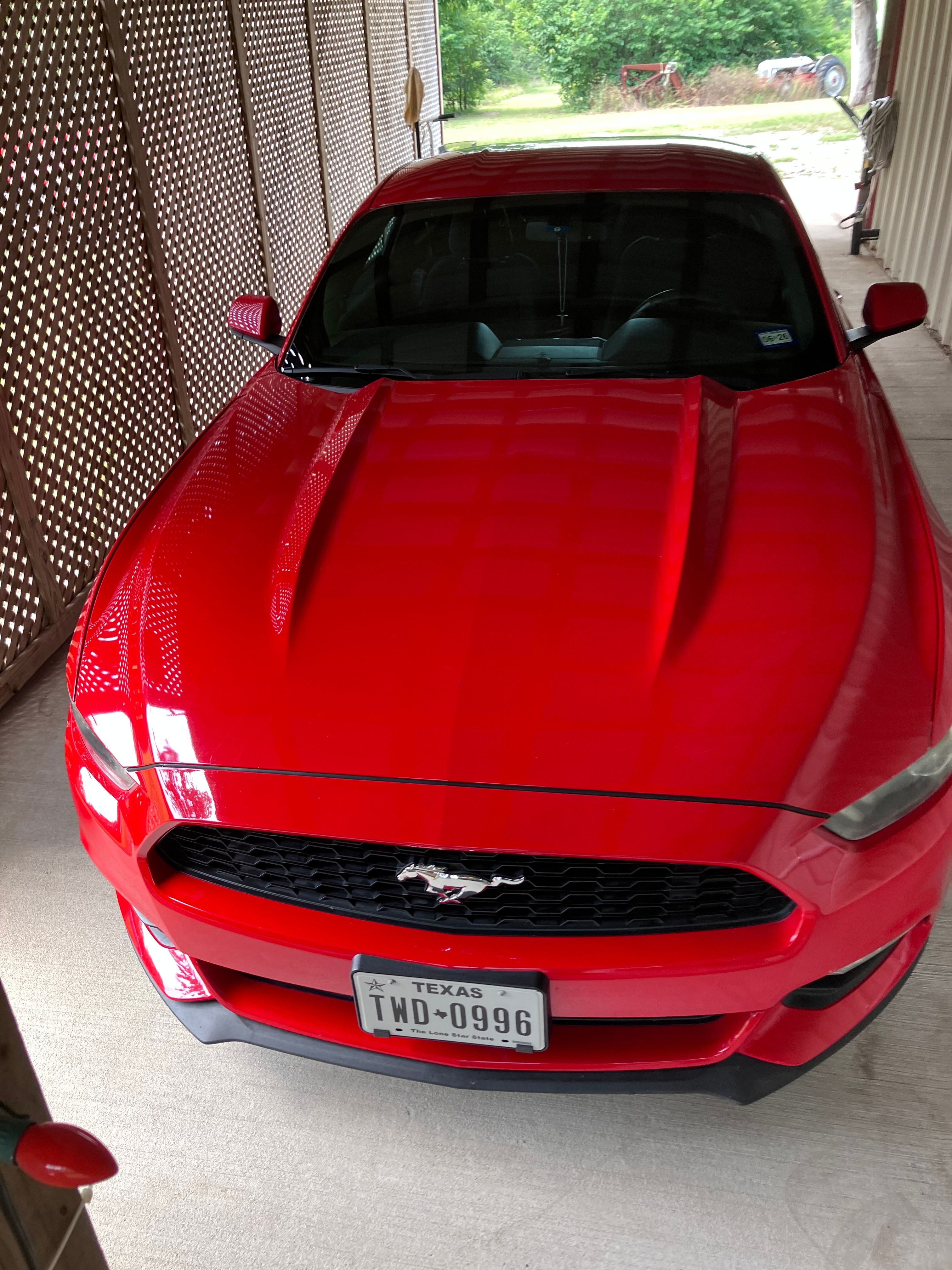 Used 2017 Ford Mustang Coupe RWD image 4