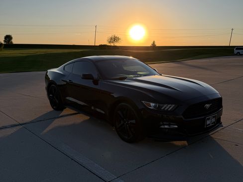 Used 2016 Ford Mustang Premium w/ Ecoboost Performance Package RWD image 8