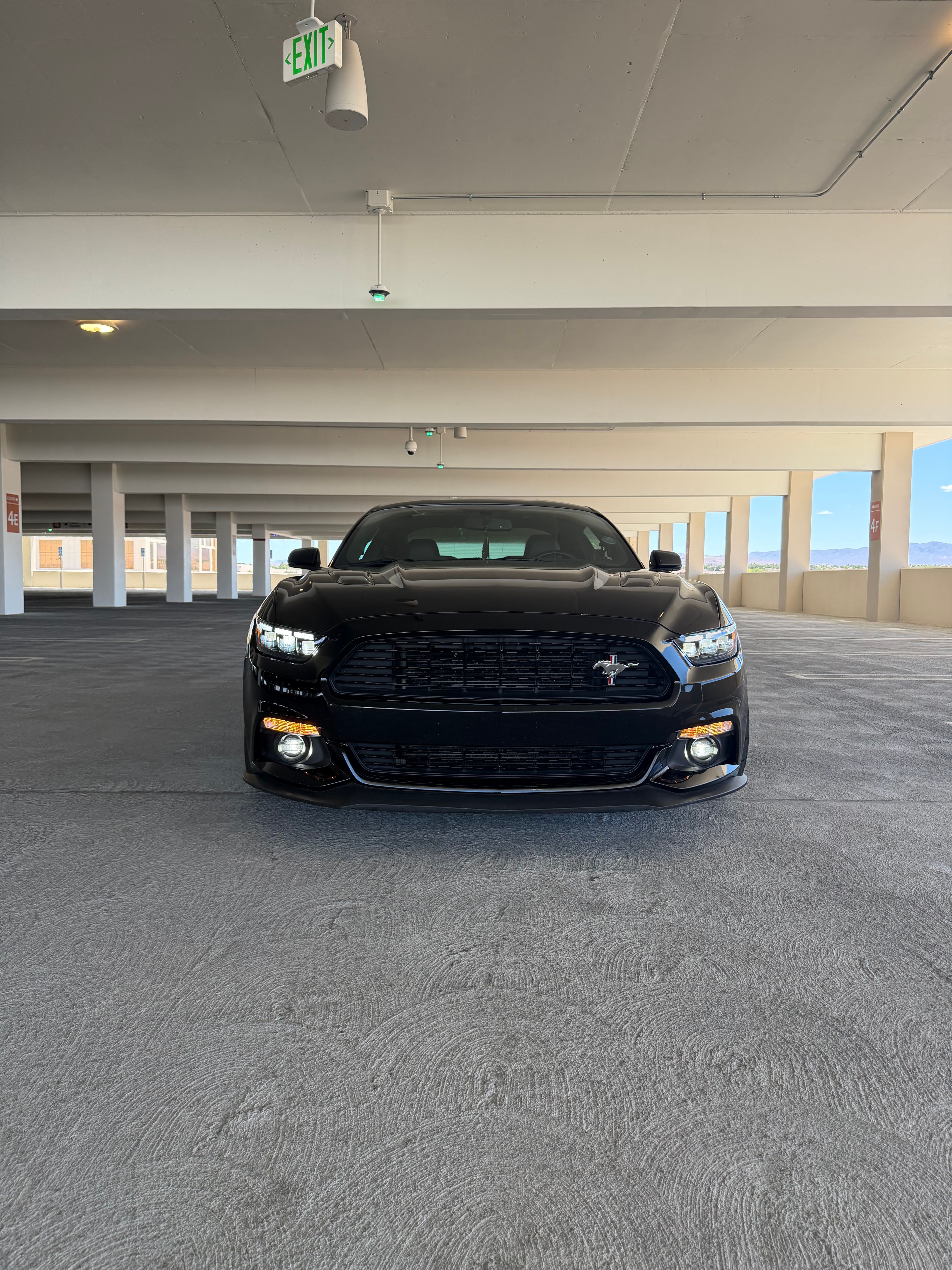 Used 2016 Ford Mustang GT Premium w/ Equipment Group 401A RWD image 15
