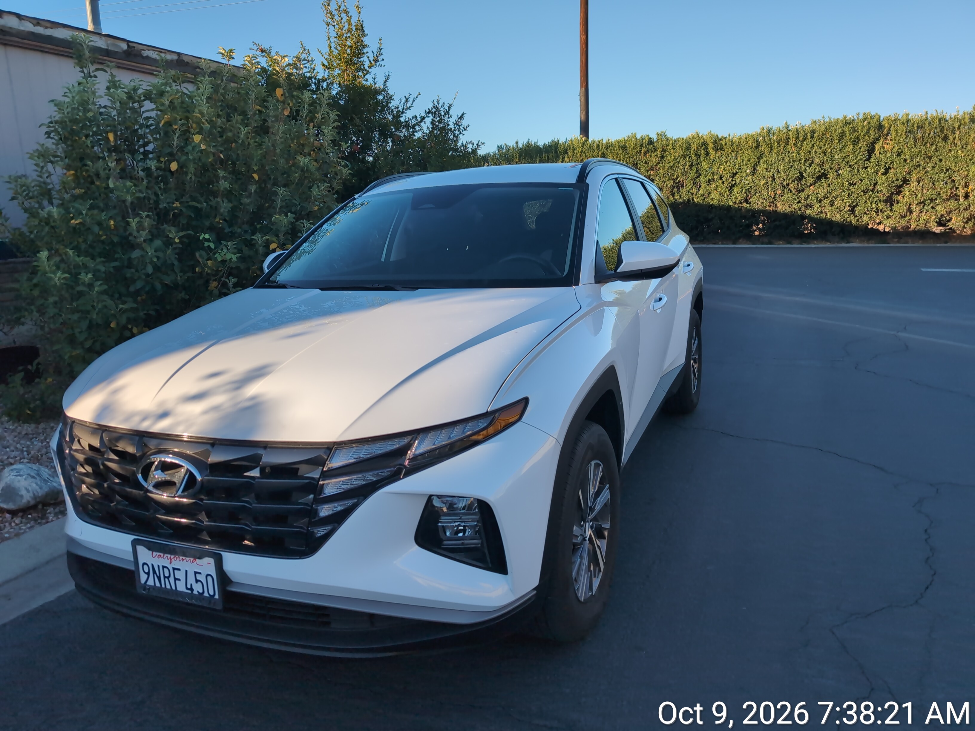 Used 2024 Hyundai Tucson Blue AWD/4WD image 6