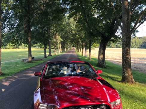 Used 2014 Ford Mustang Premium w/ Equipment Group 202A RWD image 4