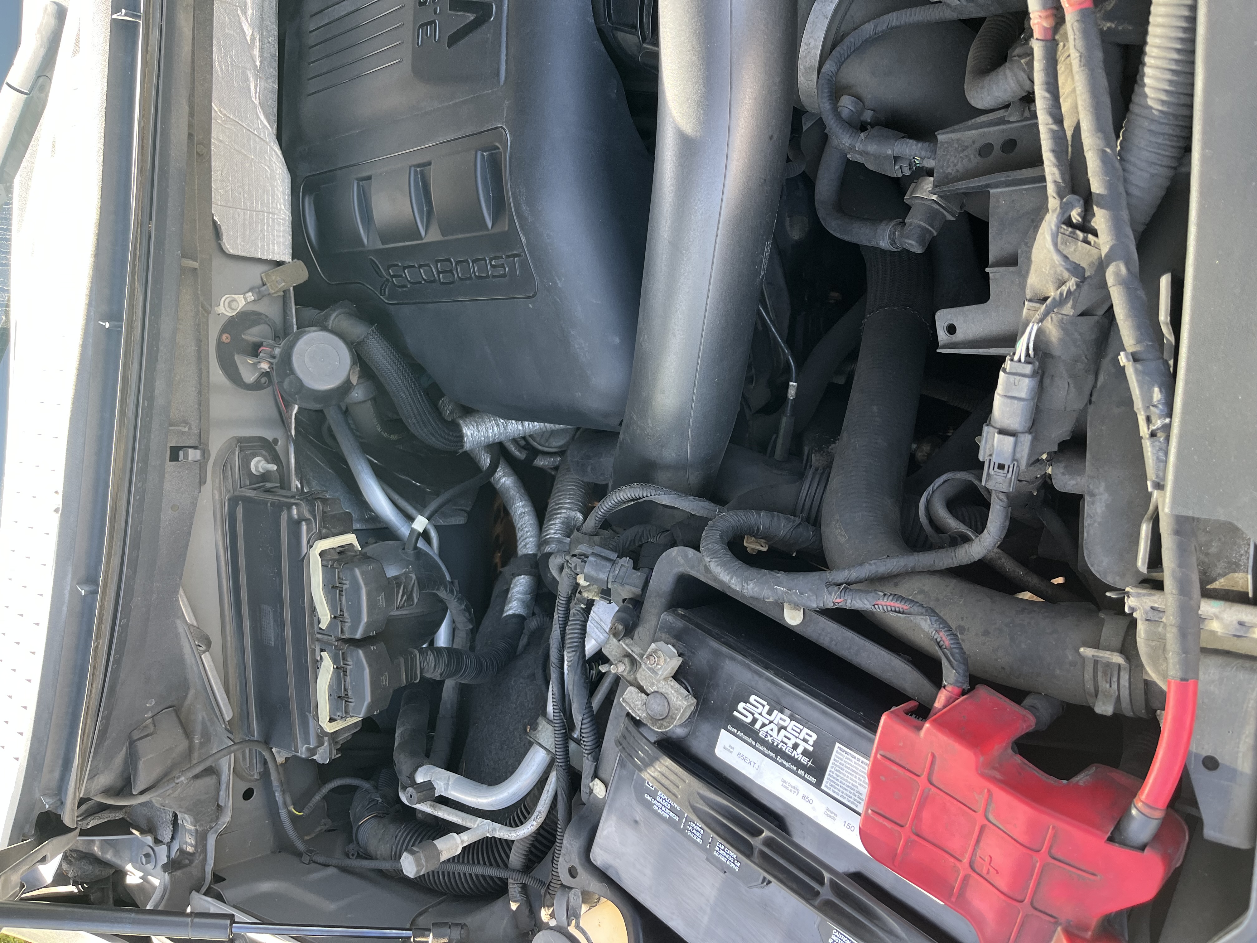 Used 2012 Ford F150 XLT w/ XLT Chrome Pkg RWD image 9
