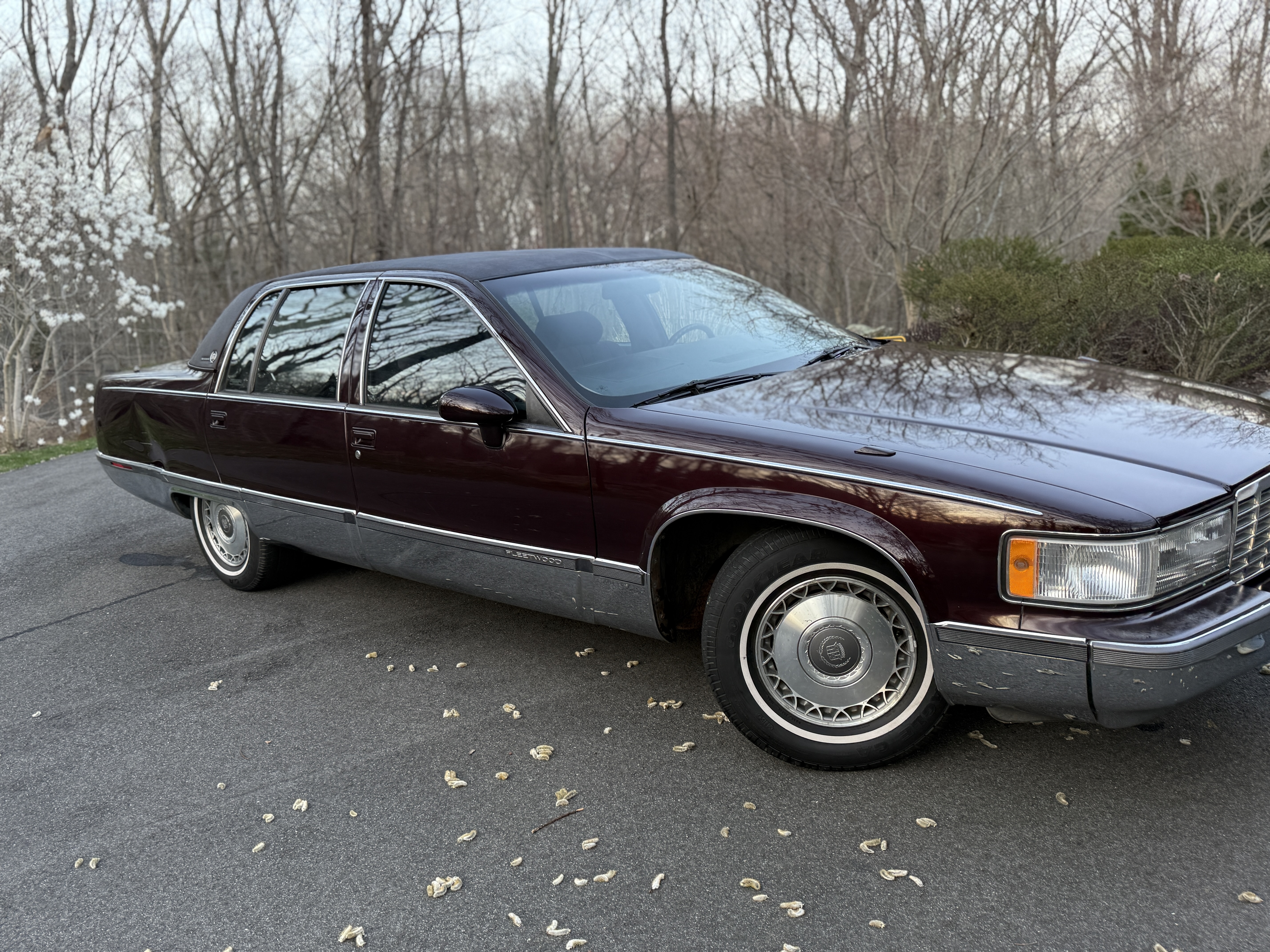 Used 1993 Cadillac Fleetwood Sedan RWD image 11
