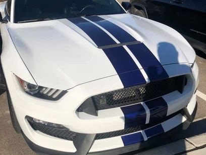 Used 2016 Ford Mustang Shelby GT350 w/ Technology Package