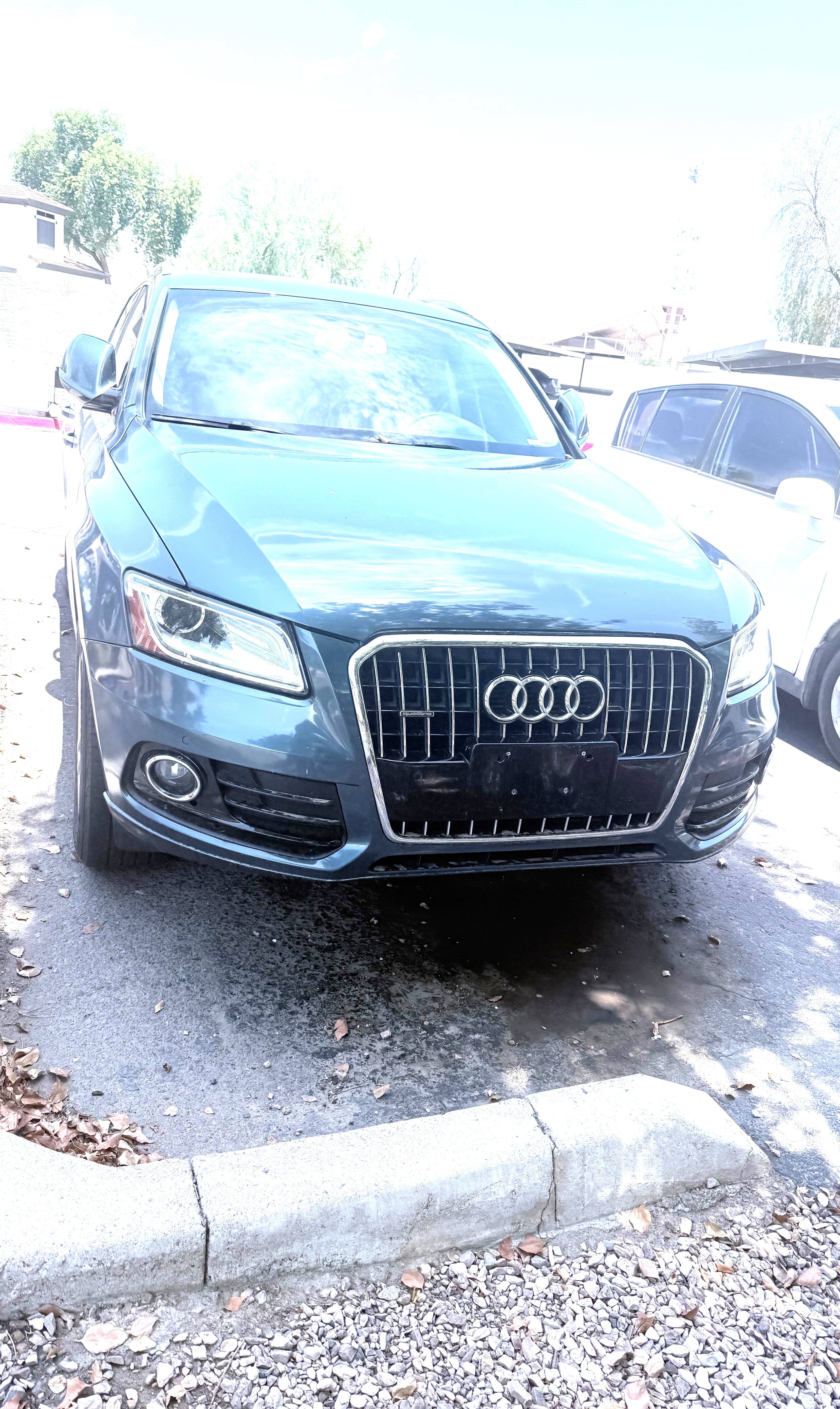 Used 2017 Audi Q5 2.0T Premium Plus w/ Technology Package AWD/4WD image 4