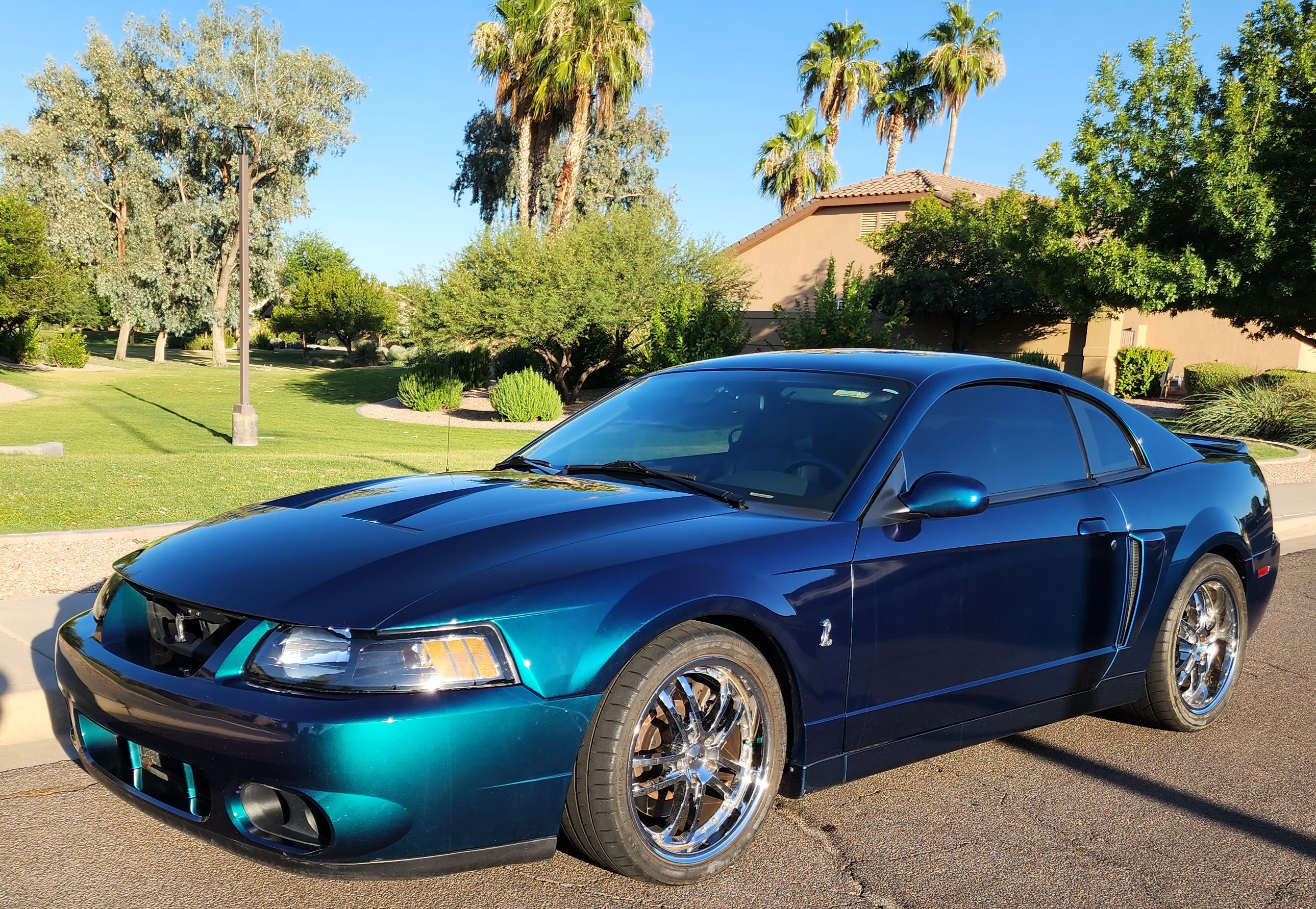 Used 2004 Ford Mustang Cobra RWD image 5