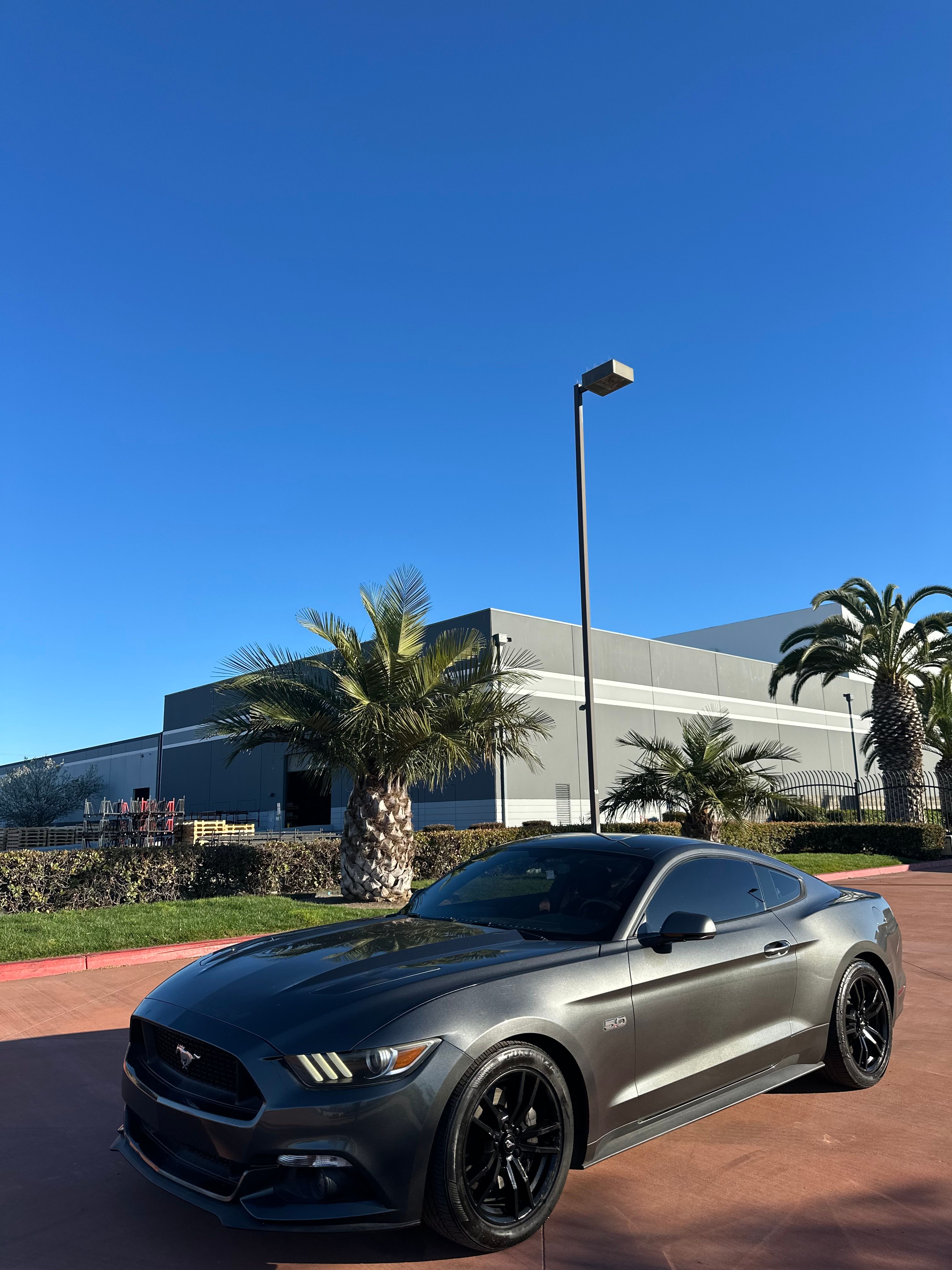 Used 2015 Ford Mustang GT RWD image 8