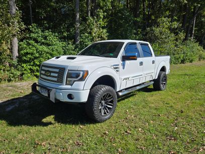 Used 2010 Ford F150 FX4