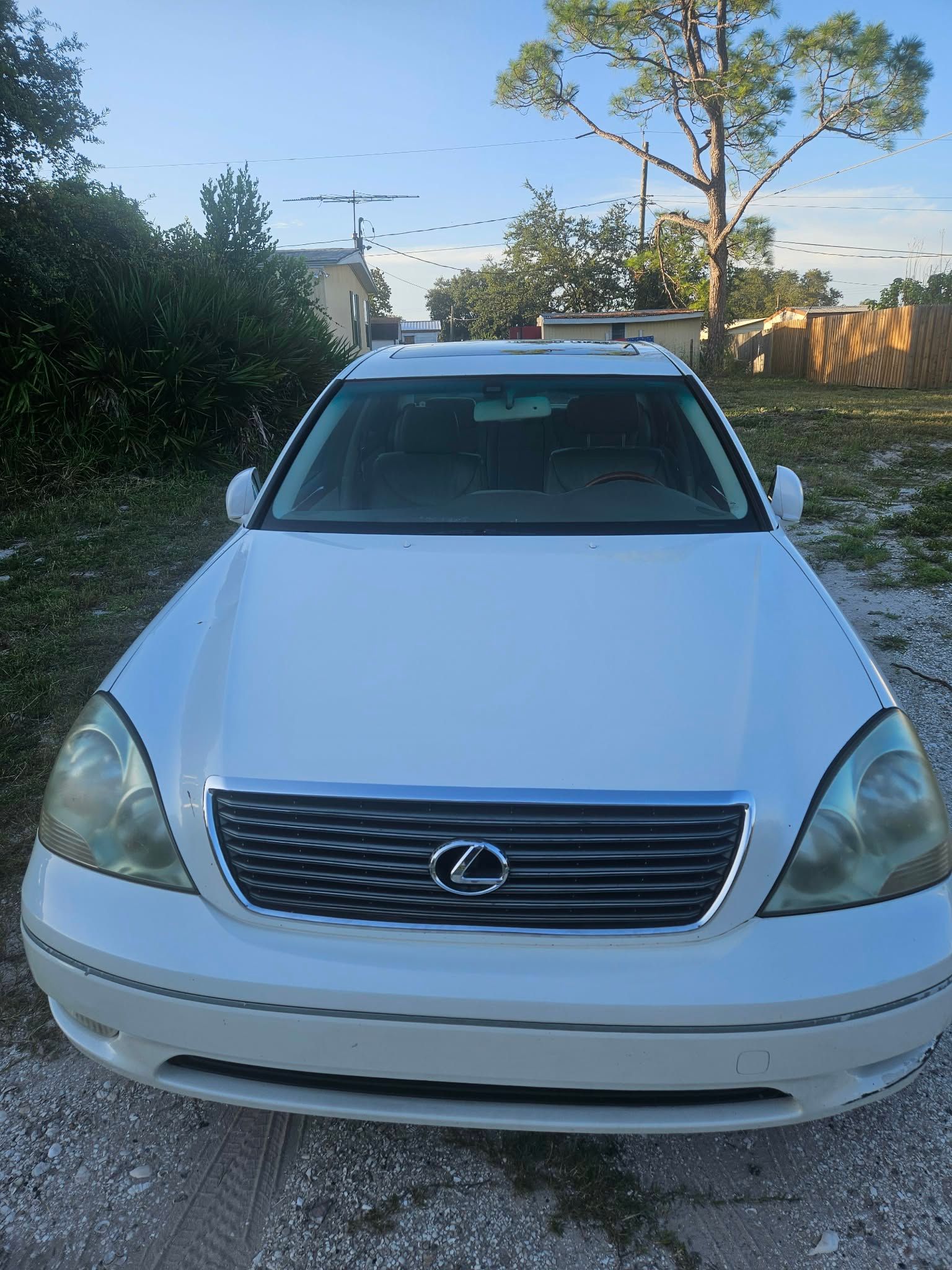 Used 2003 Lexus LS 430 RWD image 6