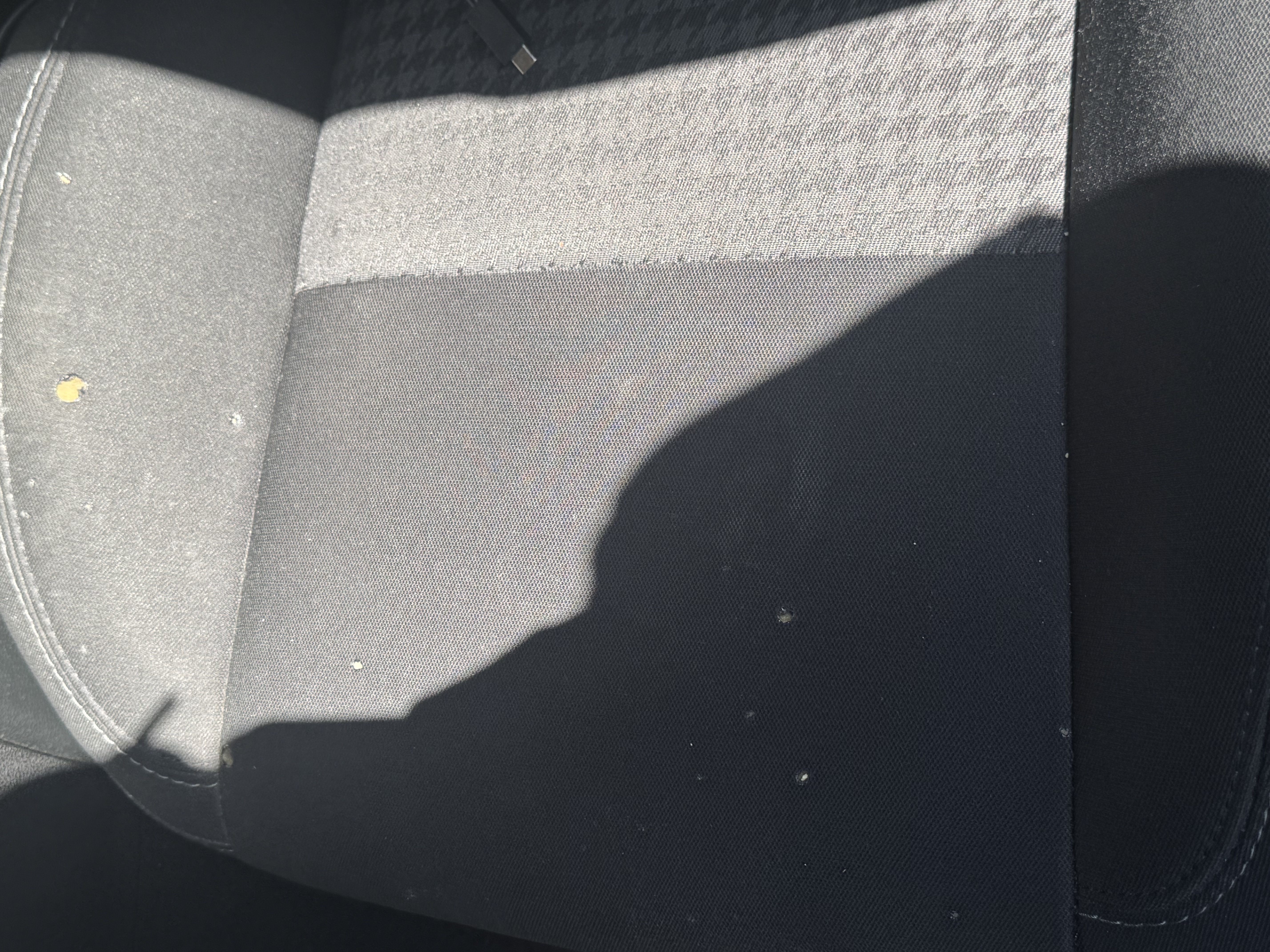 Used 2019 Dodge Charger Scat Pack RWD image 13