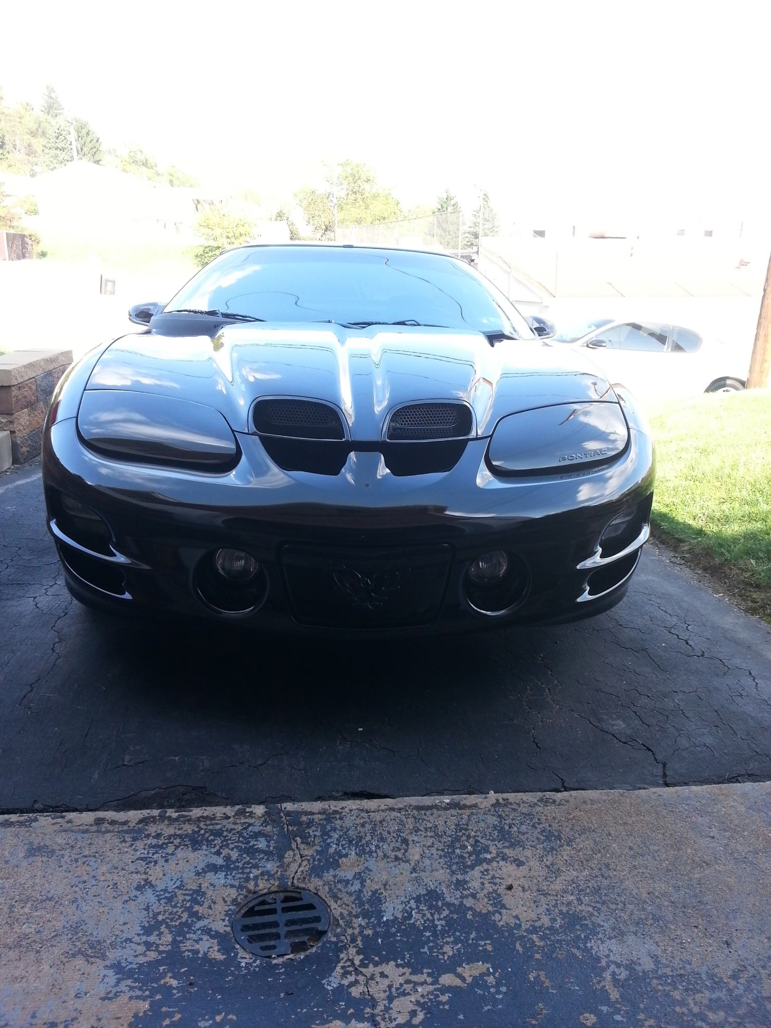 Used 2000 Pontiac Firebird Formula RWD image 13