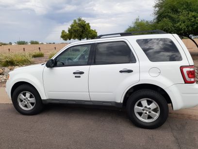Used 2010 Ford Escape XLT