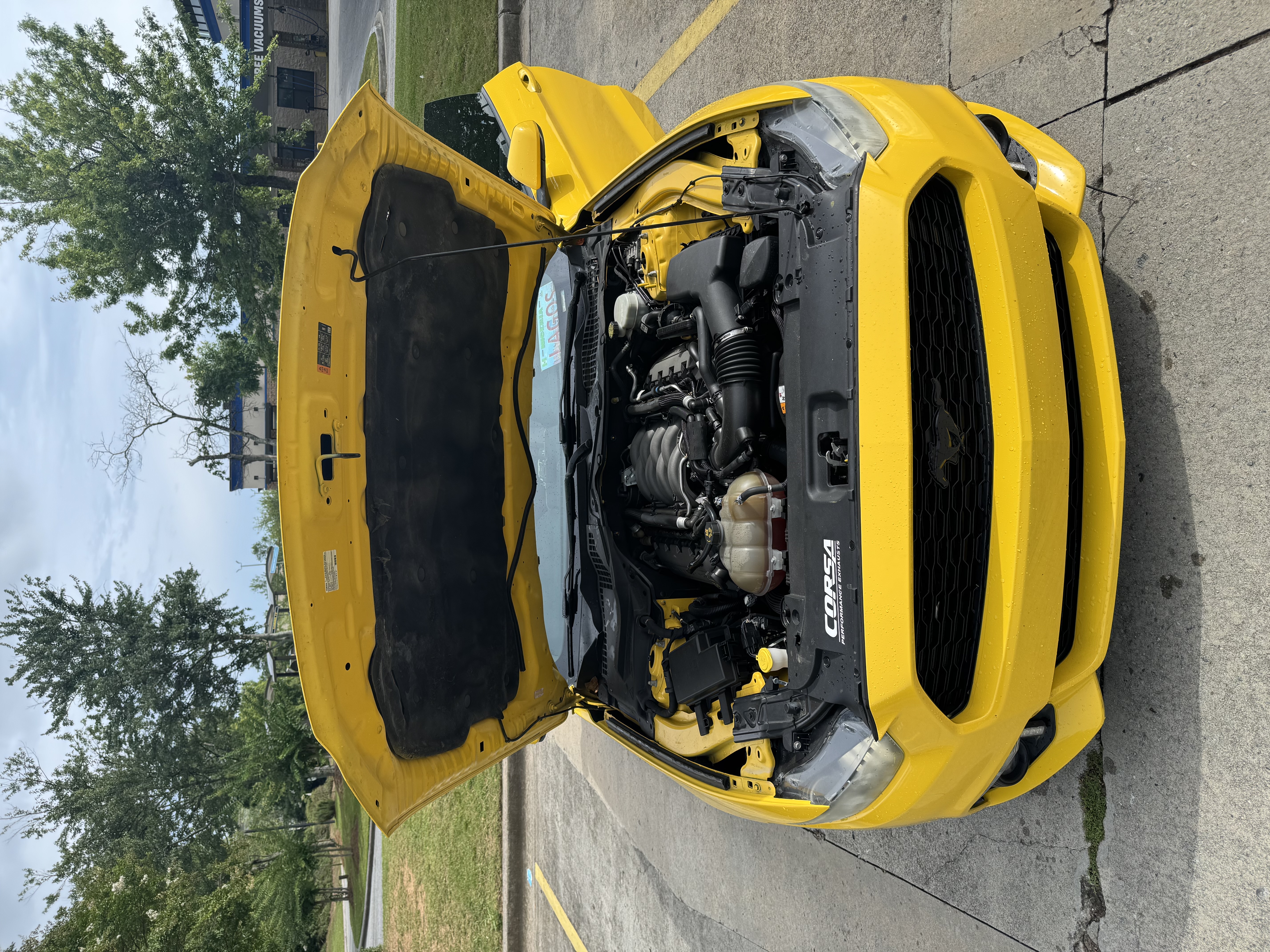 Used 2017 Ford Mustang GT RWD image 20