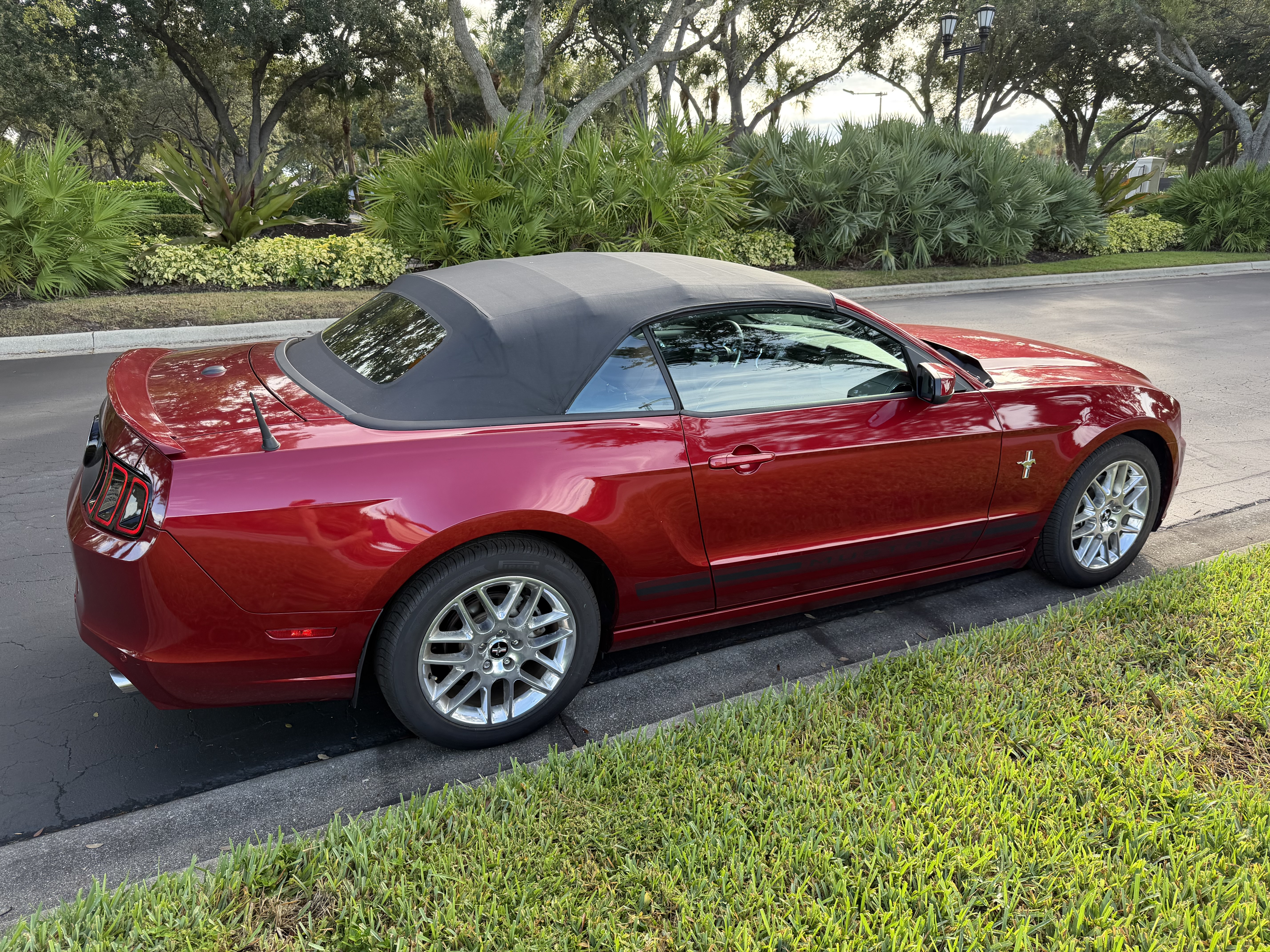 Used 2014 Ford Mustang Premium w/ Equipment Group 202A RWD image 6