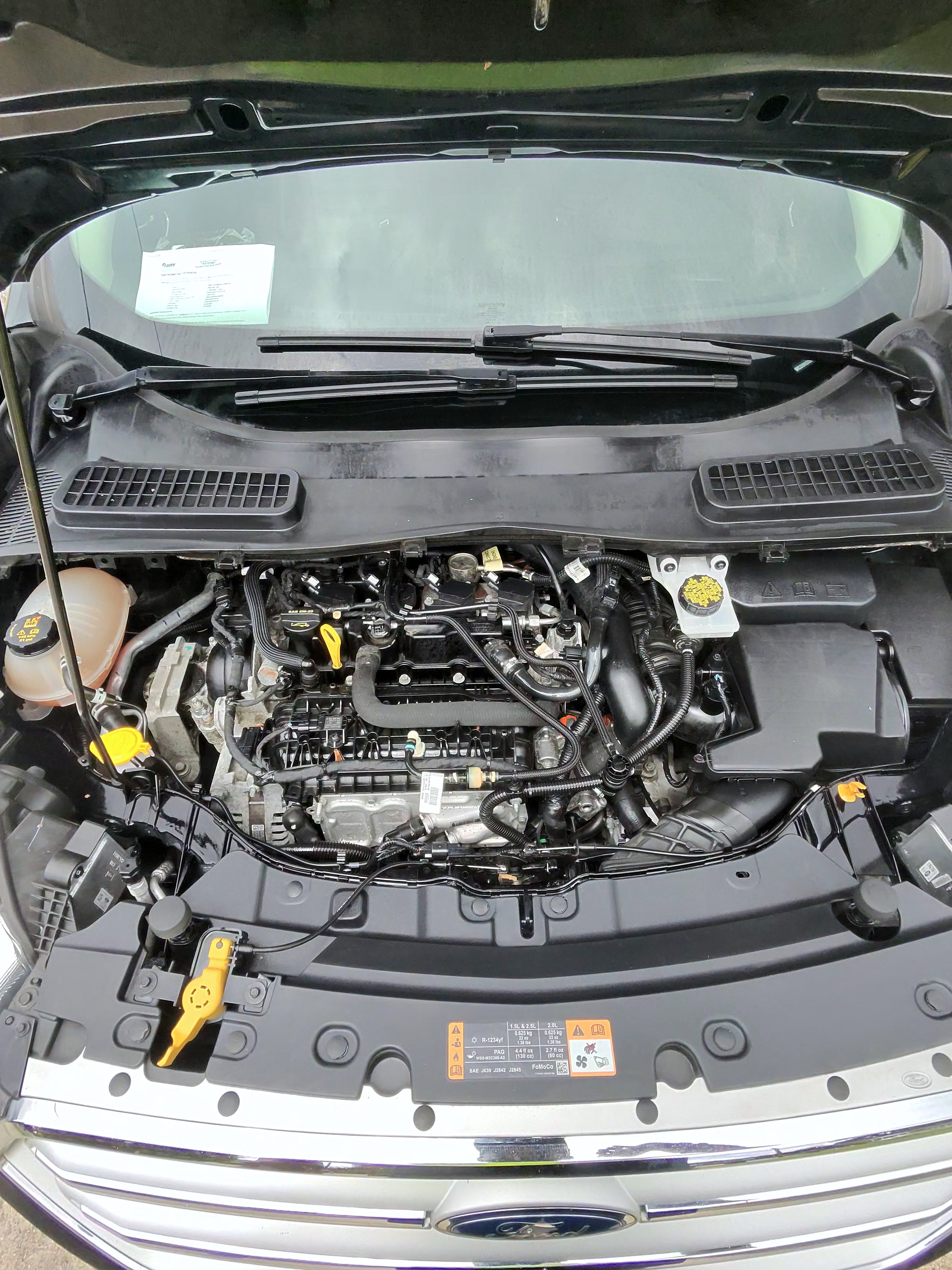 Used 2019 Ford Escape SEL AWD/4WD image 15