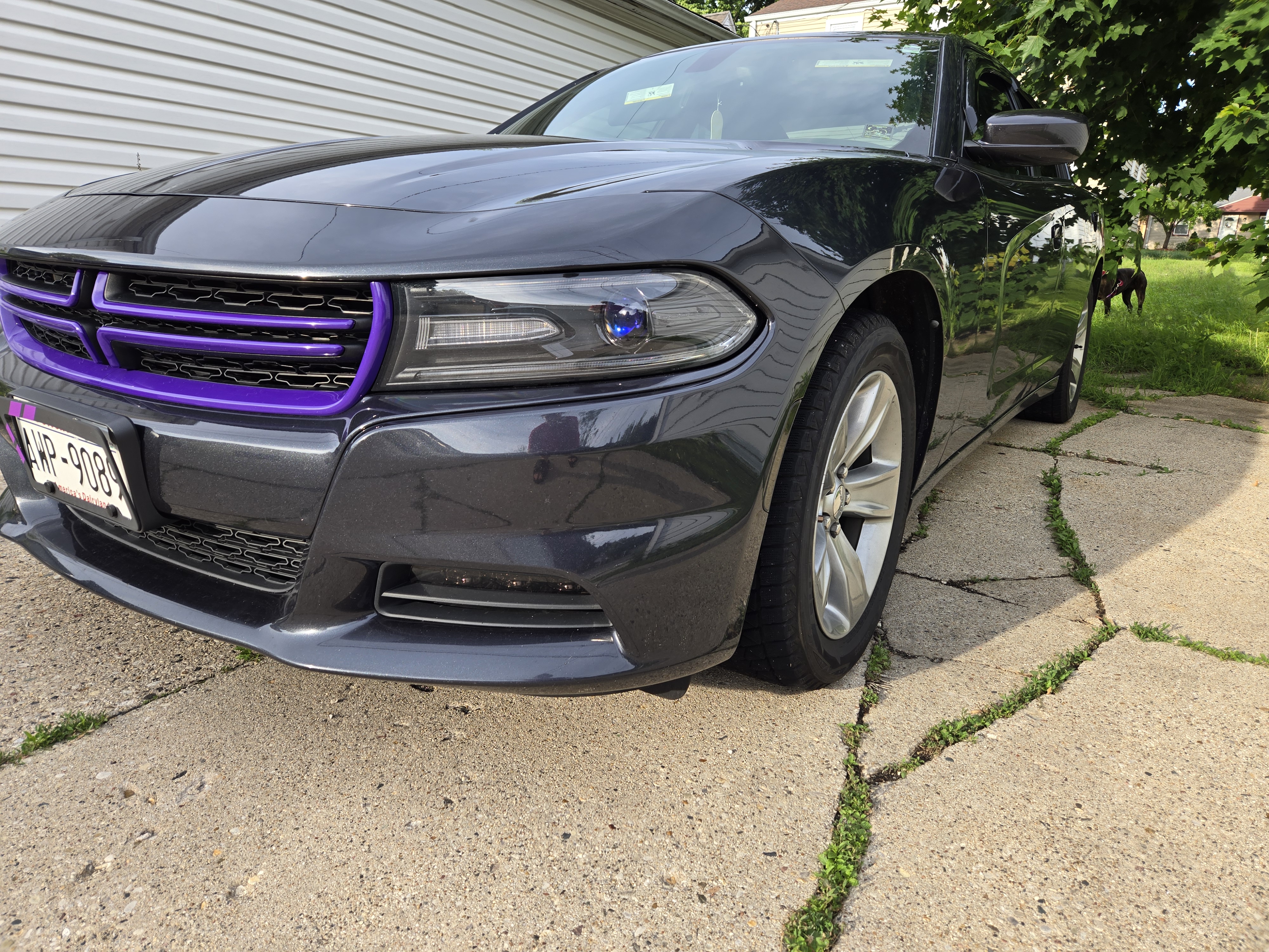 Used 2016 Dodge Charger SXT w/ Driver Confidence Group RWD image 4