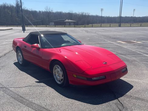 Used 1995 Chevrolet Corvette Convertible image 1