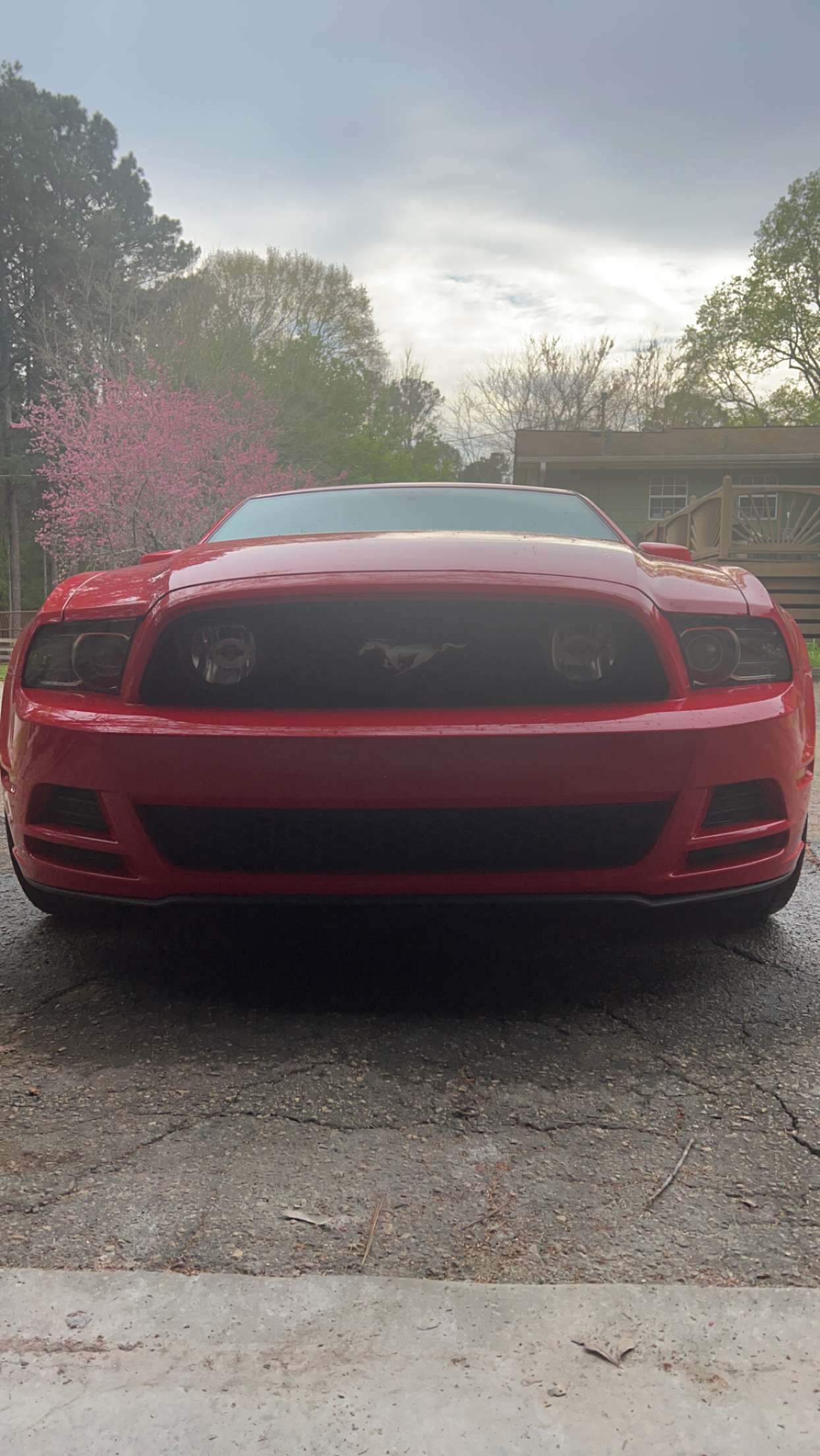Used 2013 Ford Mustang GT w/ Security Pkg RWD image 8