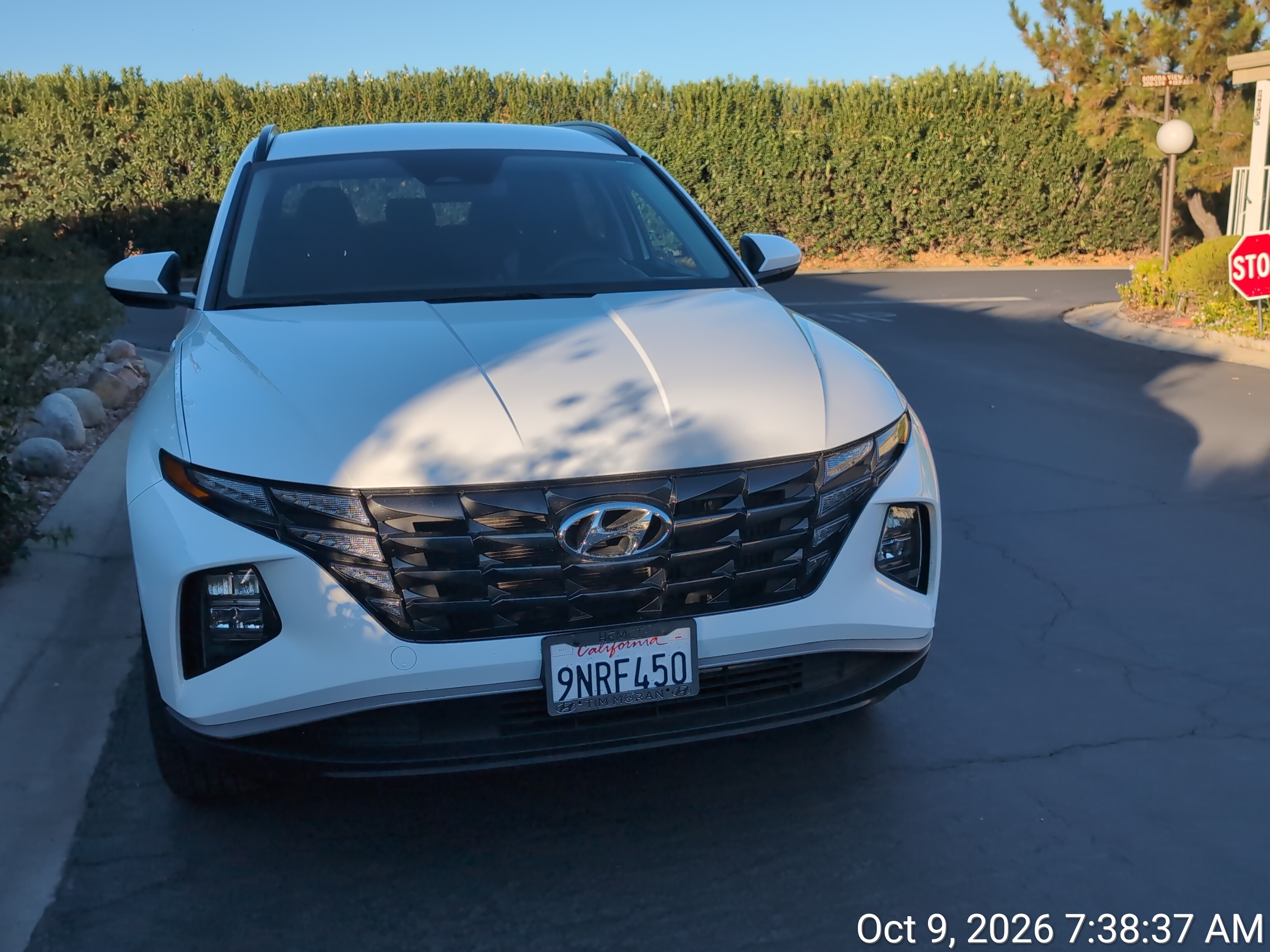 Used 2024 Hyundai Tucson Blue AWD/4WD image 8