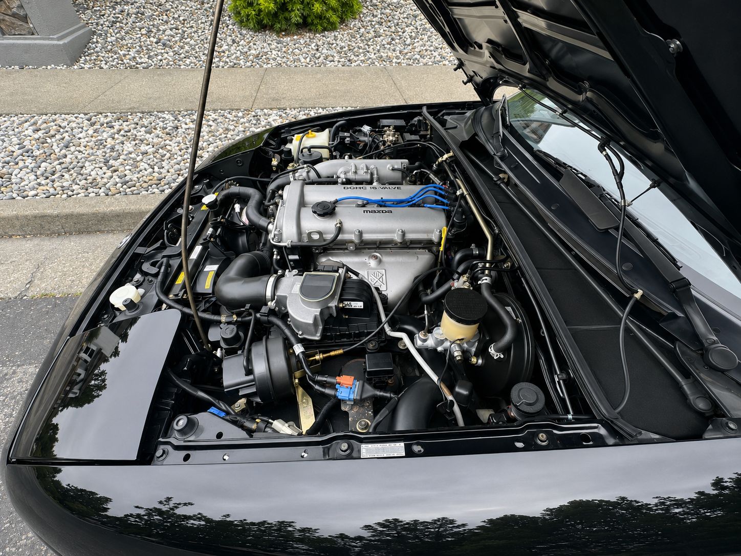 Used 1993 MAZDA MX-5 Miata Limited Edition RWD image 11