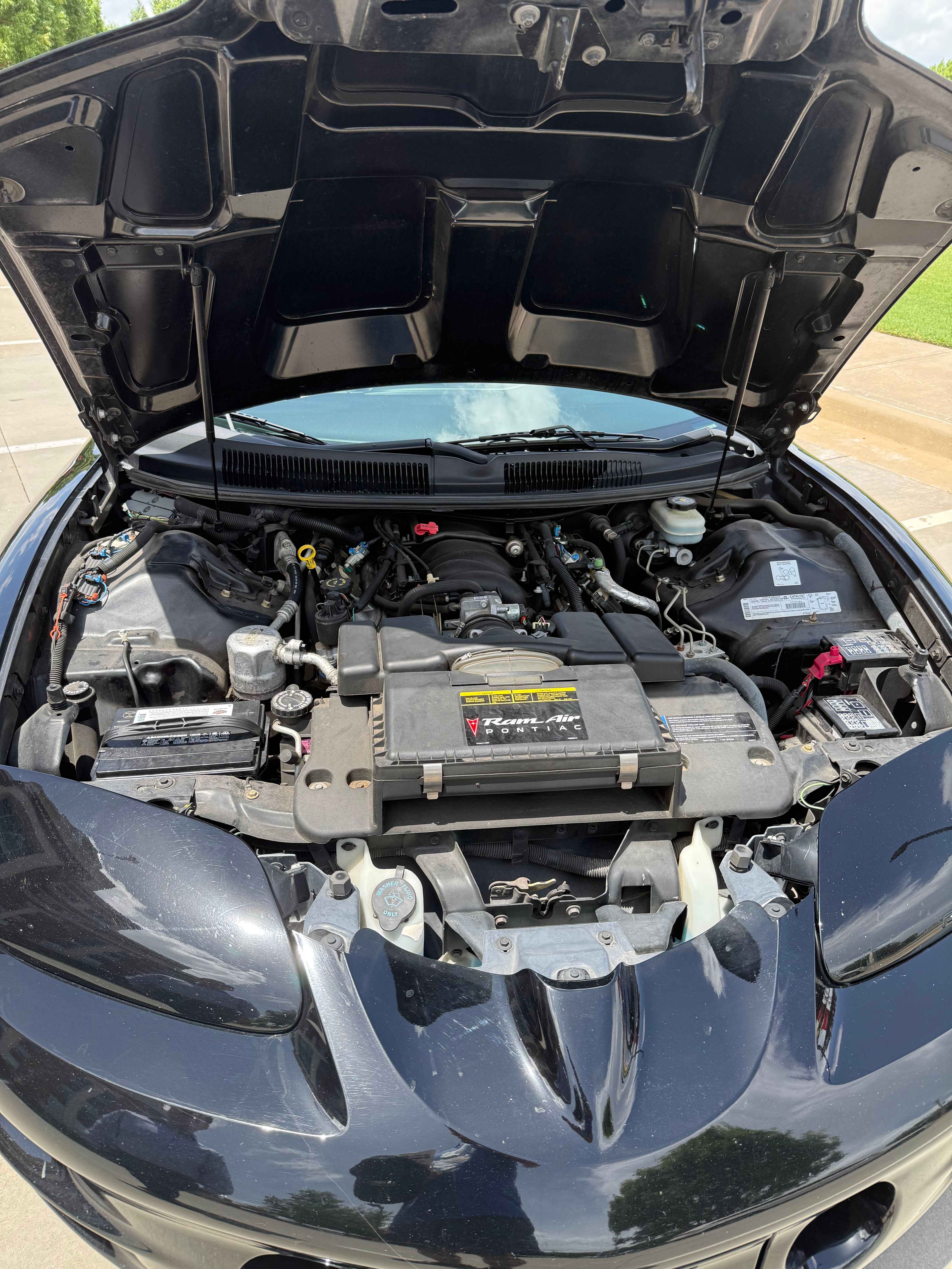 Used 2000 Pontiac Firebird Formula RWD image 6