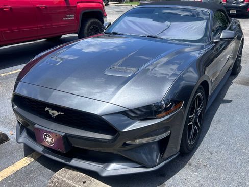 Used 2019 Ford Mustang Premium w/ Ford Safe & Smart Package RWD image 1