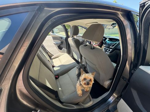 Used 2012 Ford Focus SE image 9