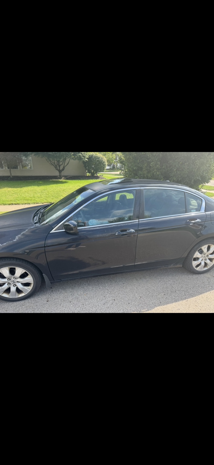 Used 2008 Honda Accord EX-L image 2