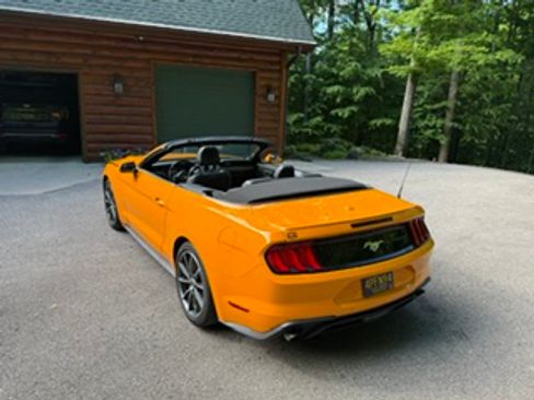 Used 2019 Ford Mustang Premium w/ Equipment Group 201A RWD image 2