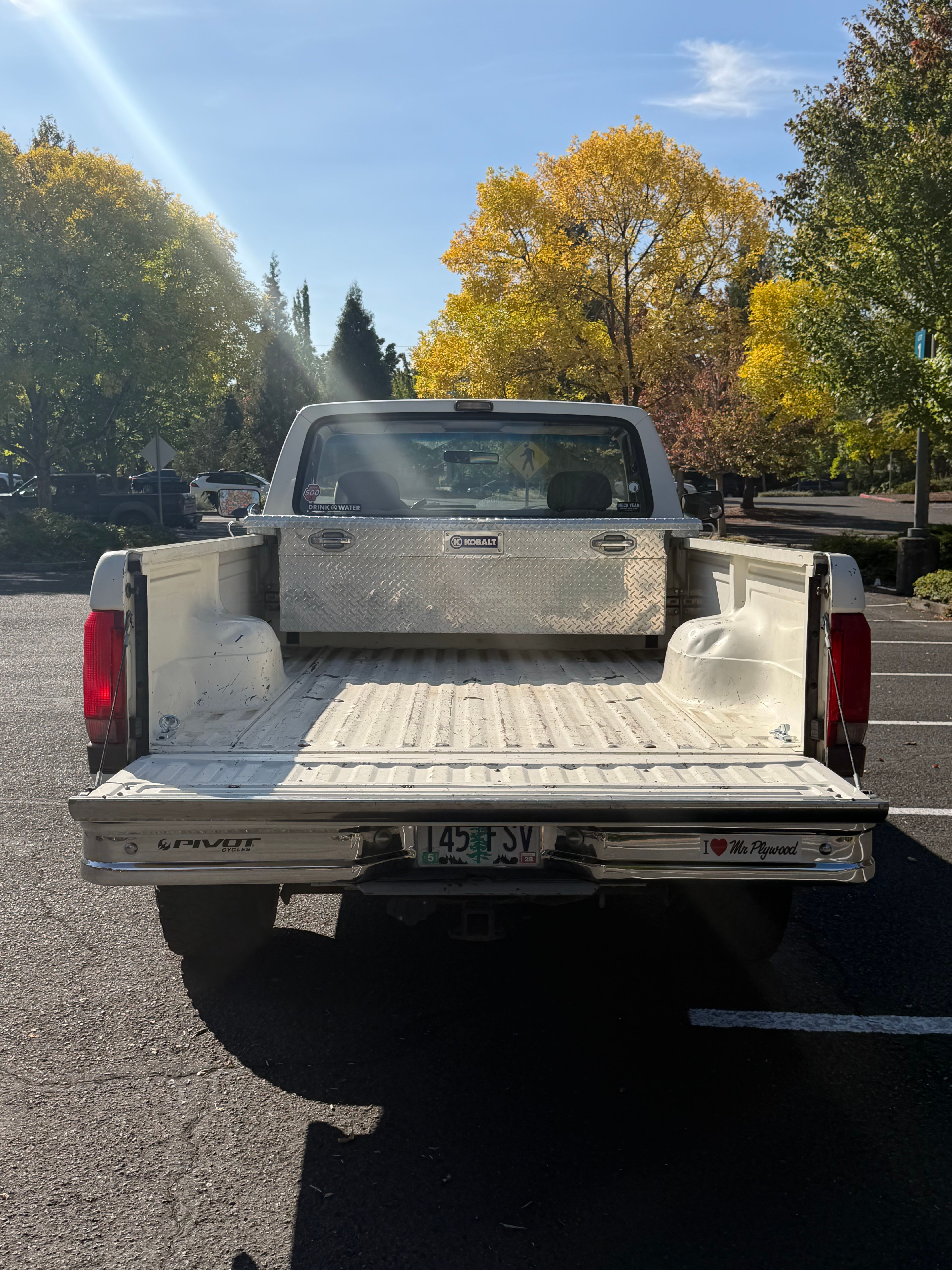 Used 1993 Ford F250 2WD Regular Cab image 9