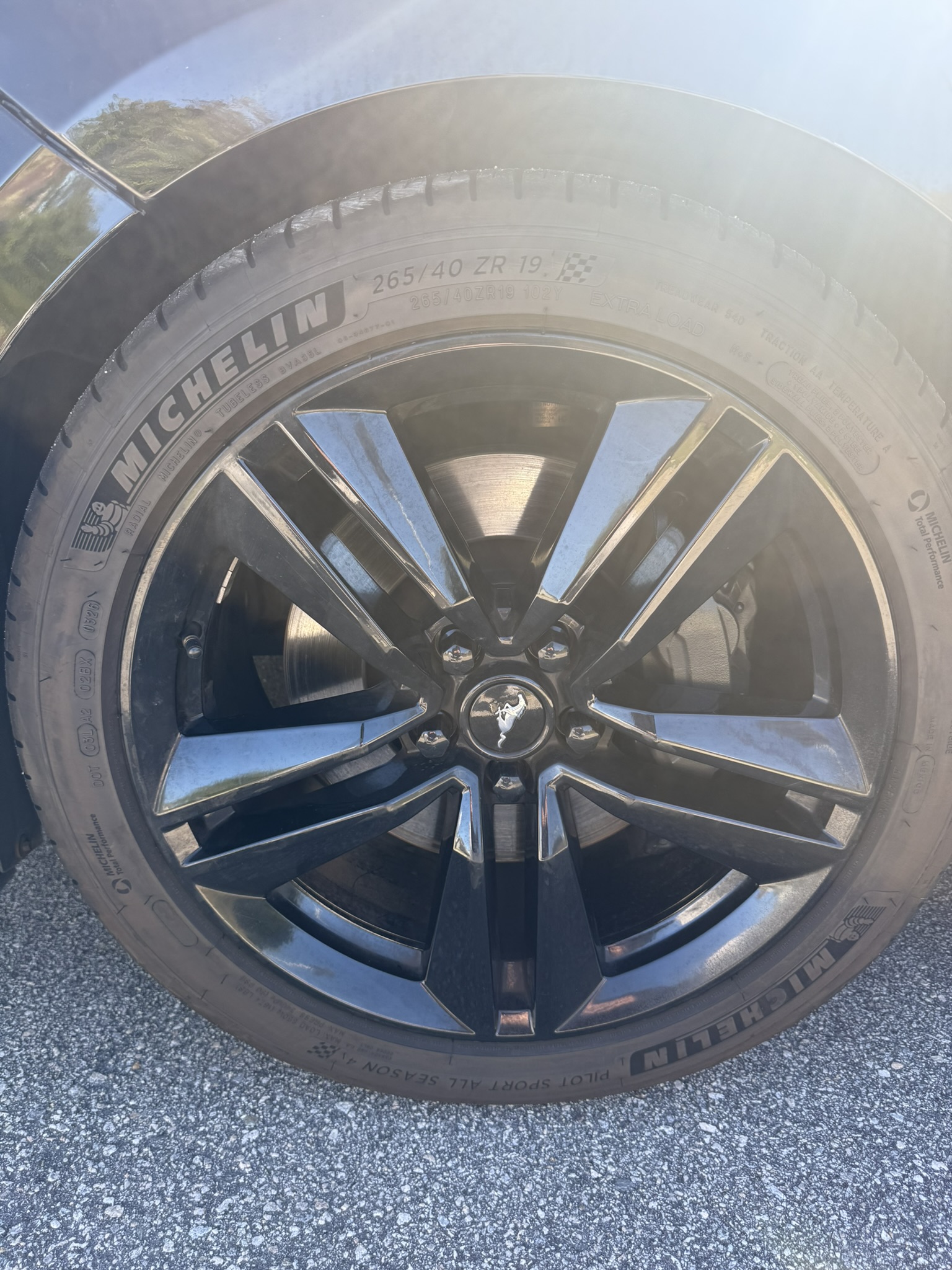 Used 2015 Ford Mustang GT Premium w/ Enhanced Security Package RWD image 16