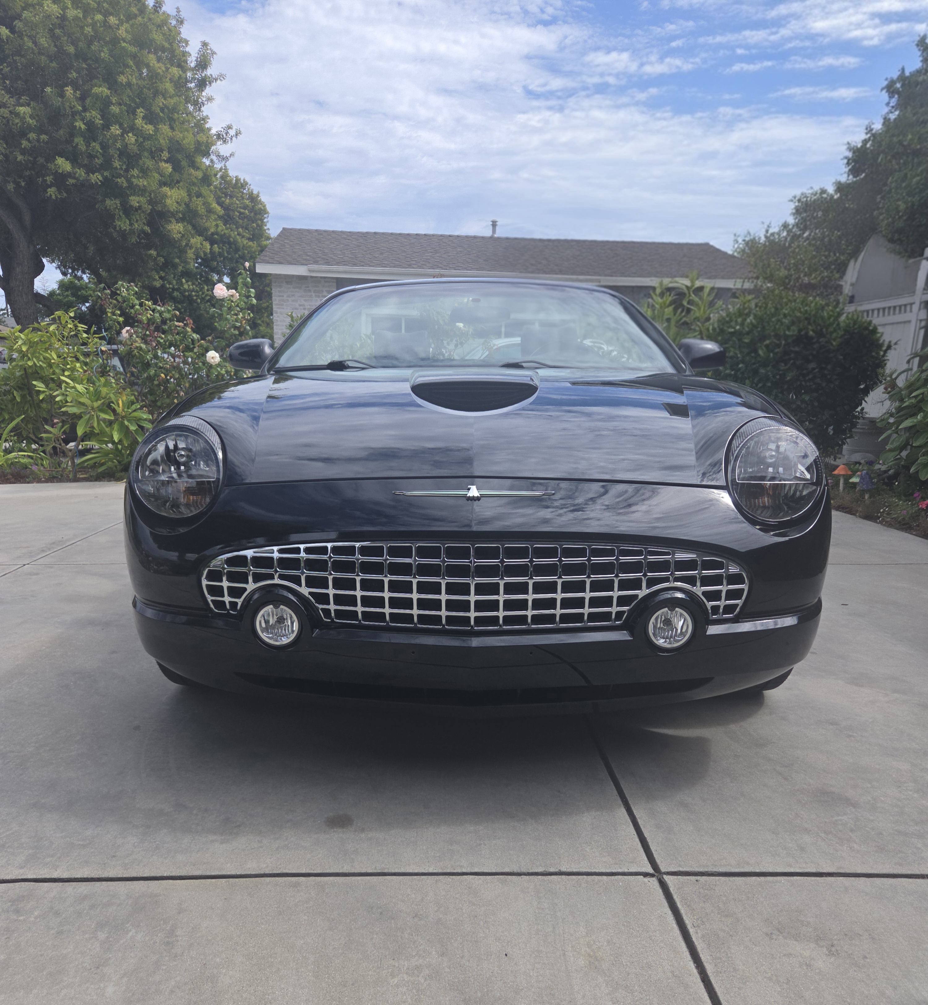Used 2003 Ford Thunderbird RWD image 24