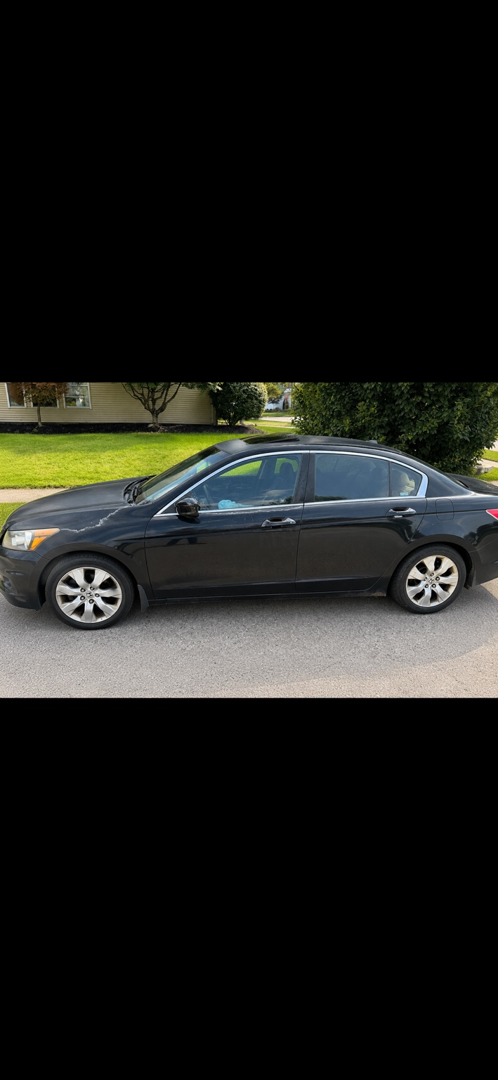 Used 2008 Honda Accord EX-L image 1