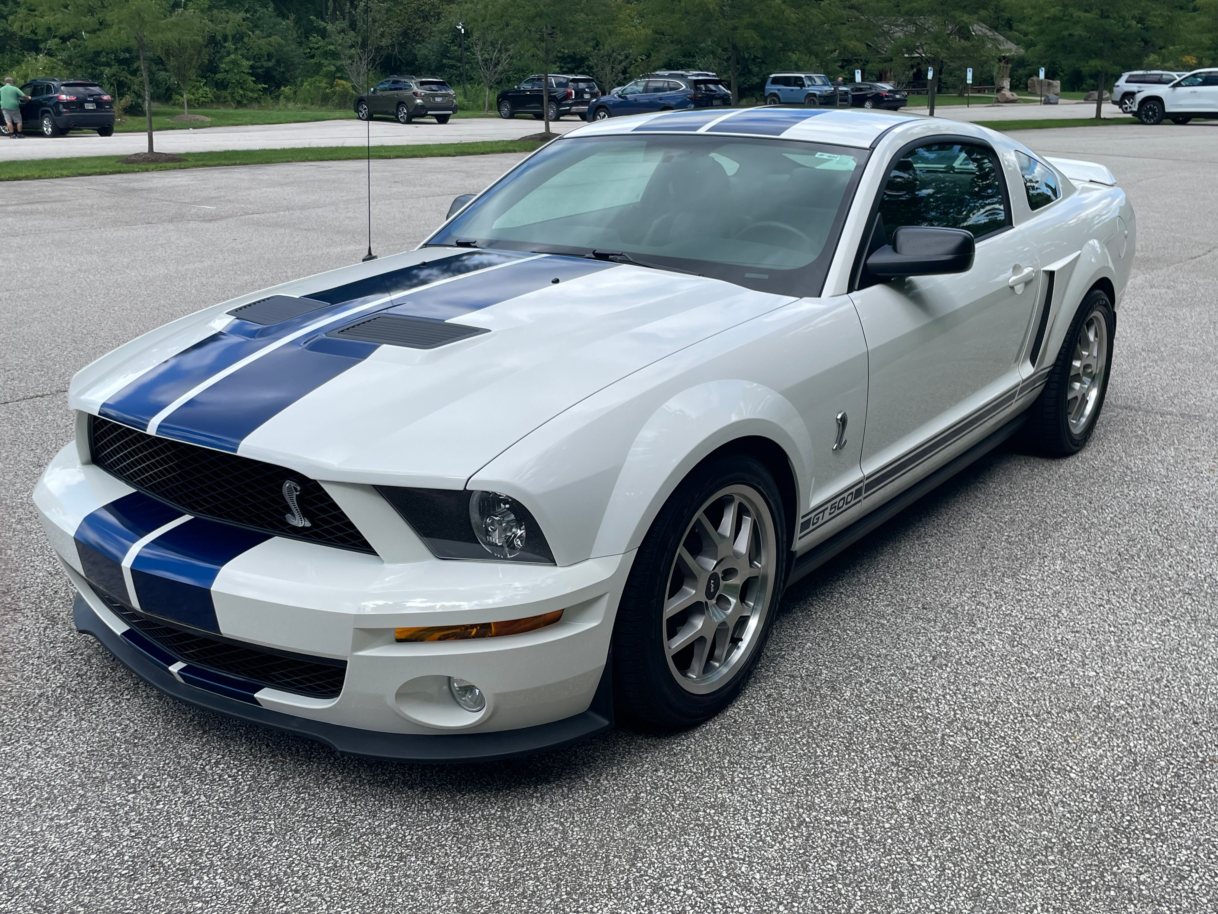 Used 2008 Ford Mustang Shelby GT500 RWD image 2