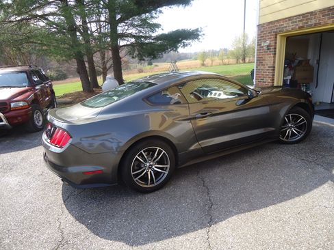 Used 2017 Ford Mustang Premium image 12