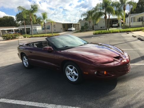 Used 2001 Pontiac Firebird Convertible image 2