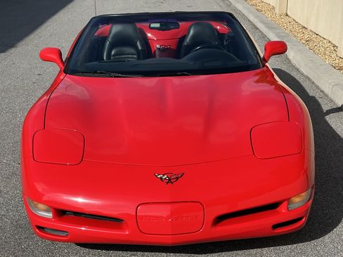 Used 1999 Chevrolet Corvette Convertible w/ Memory Pkg image 6