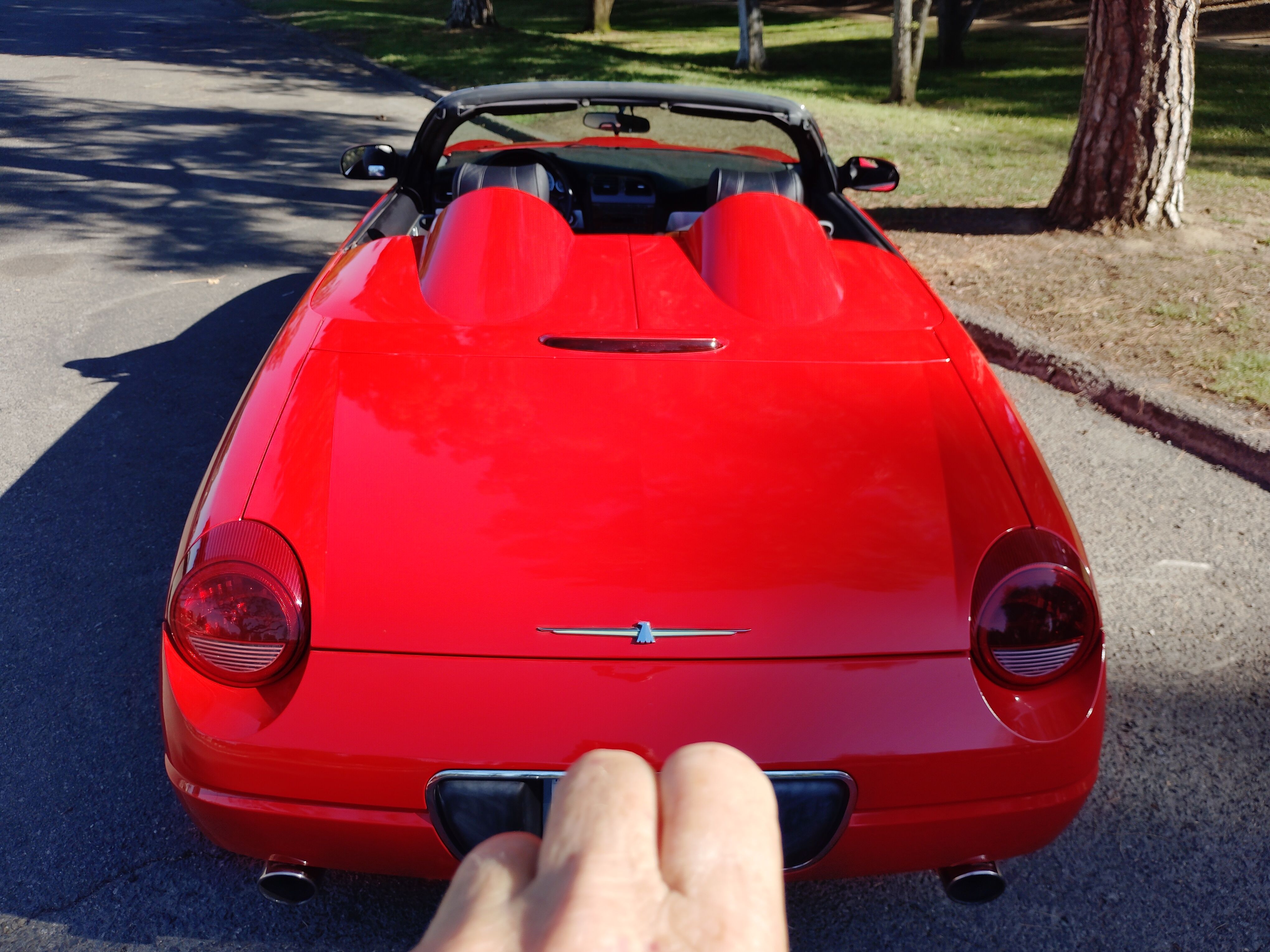 Used 2003 Ford Thunderbird RWD image 5