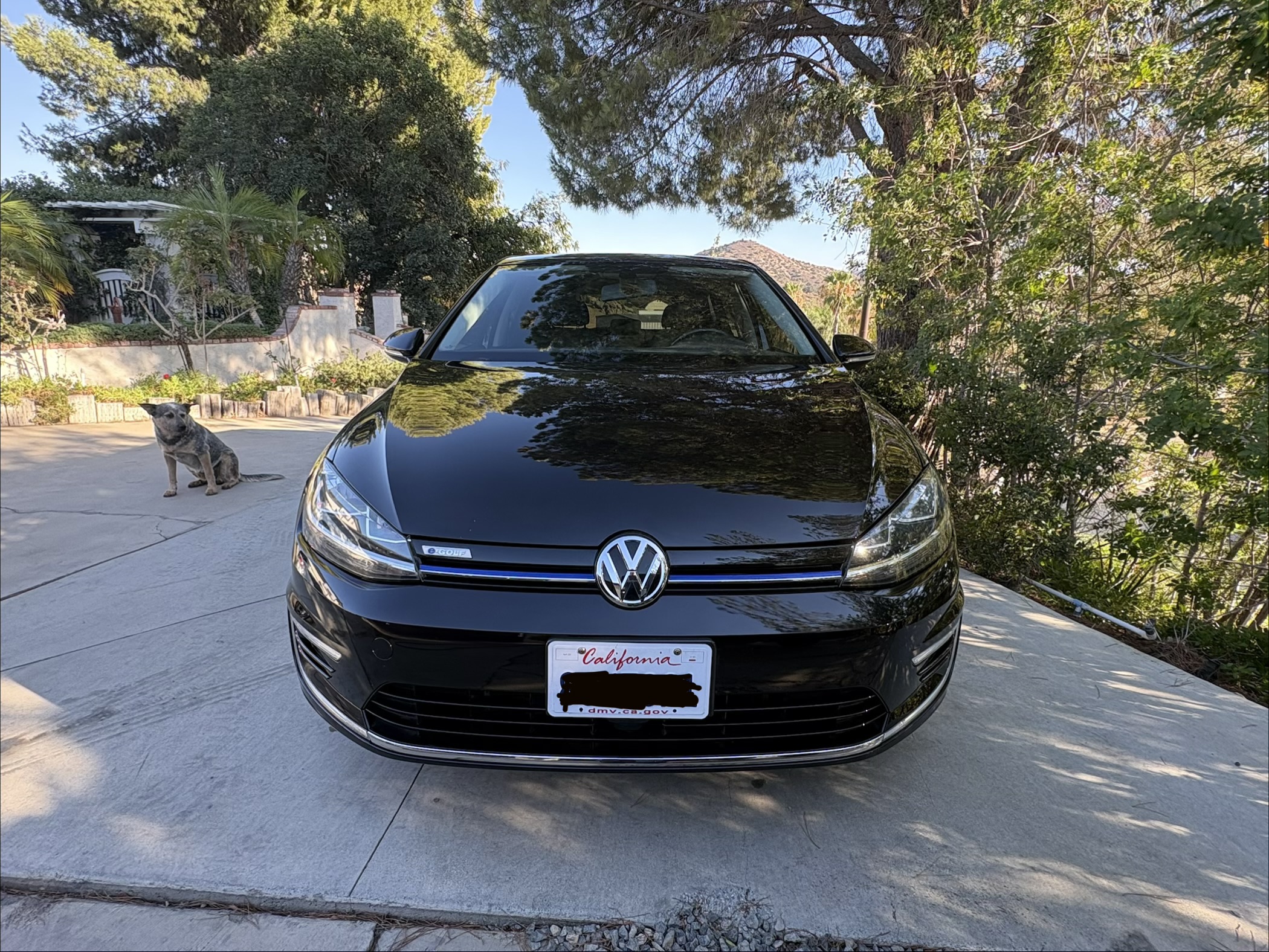 Used 2019 Volkswagen e-Golf SE w/ Driver Assistance Package FWD image 14