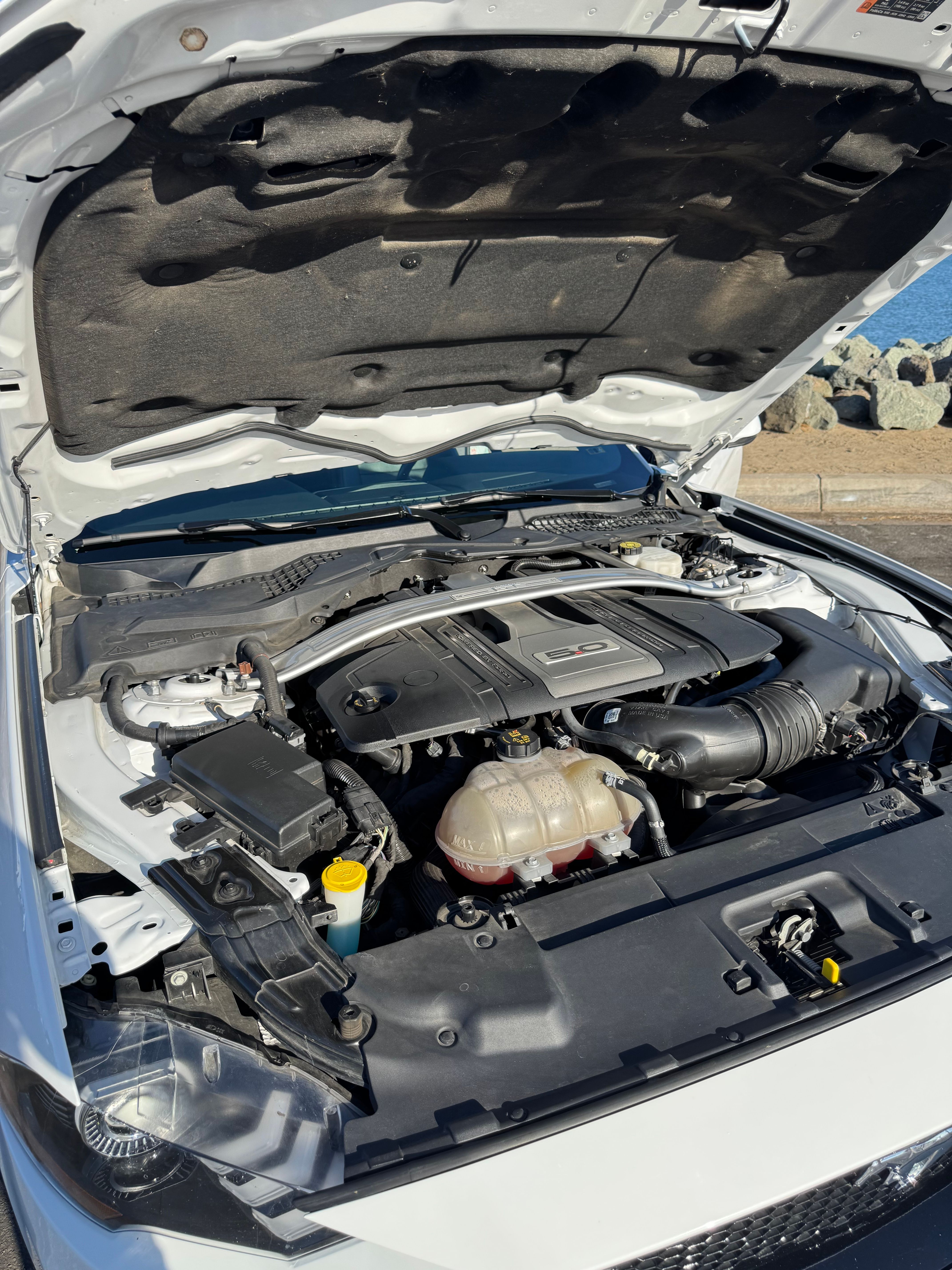 Used 2019 Ford Mustang GT Premium RWD image 6