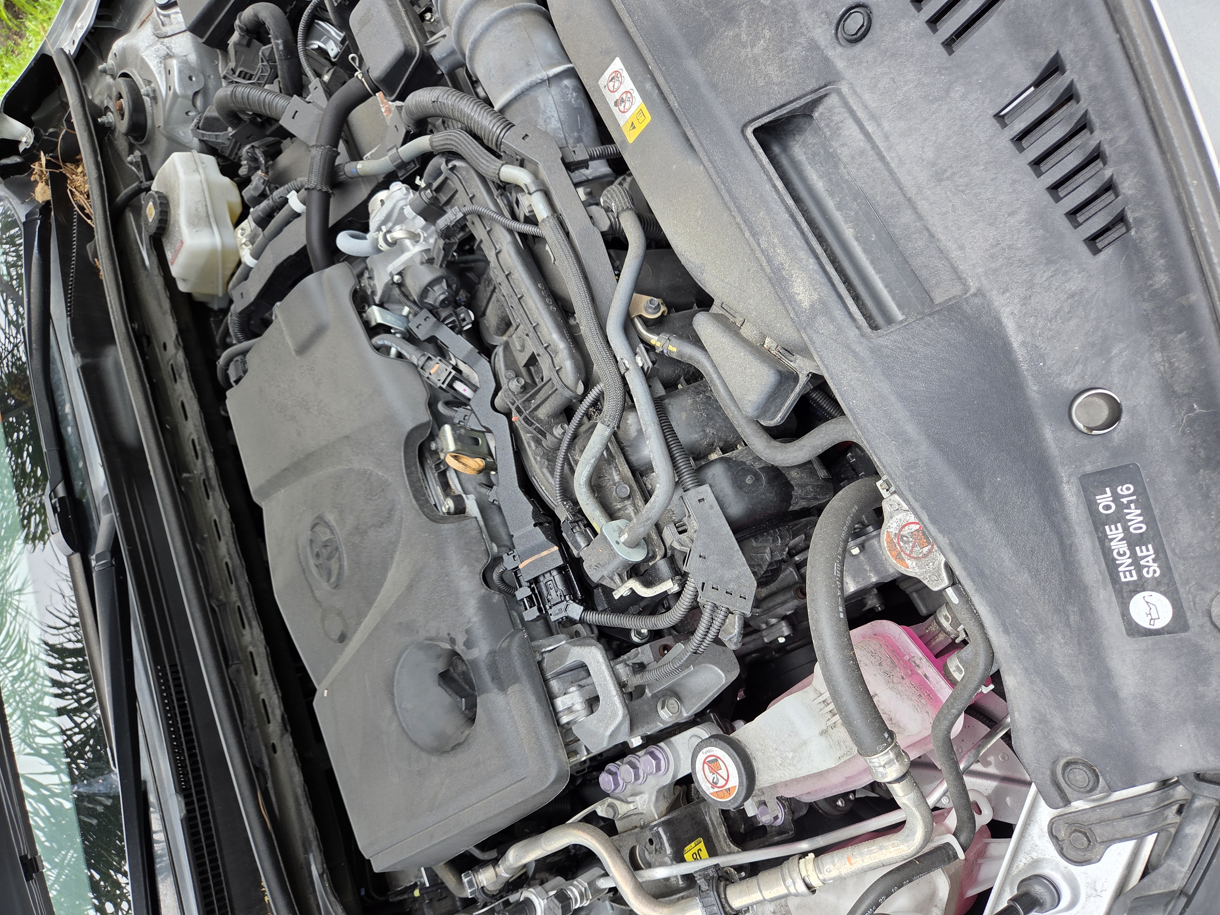 Used 2023 Toyota Camry LE FWD image 13